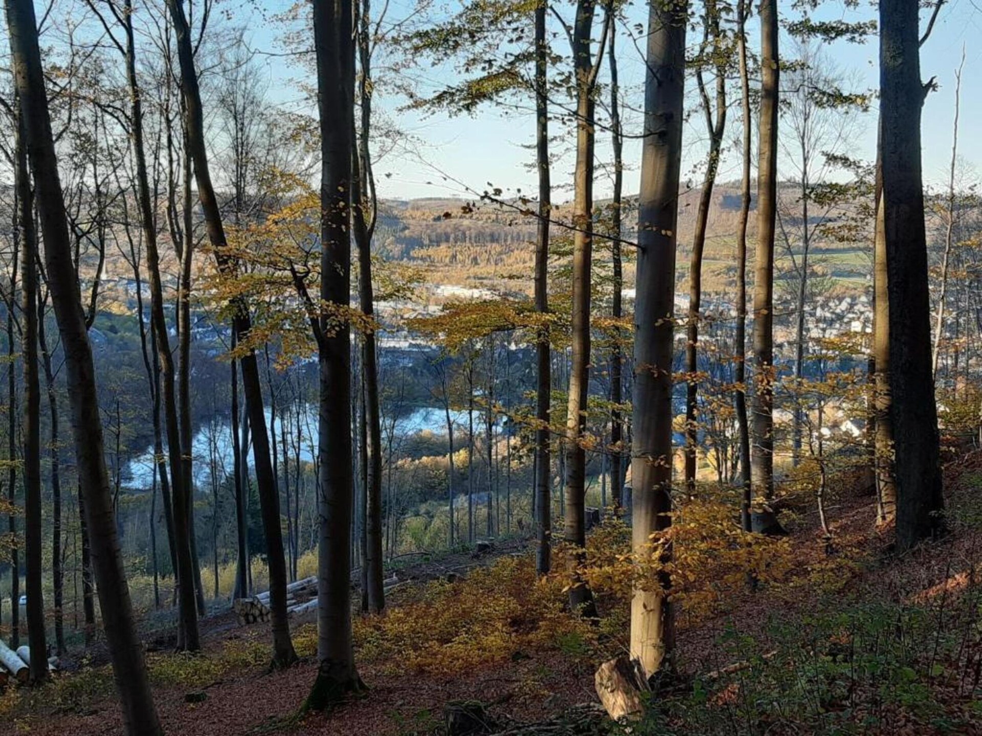 Im Ries III: Modern appartement in het Sauerlandse bos, 4 km van de skilift - foto 21