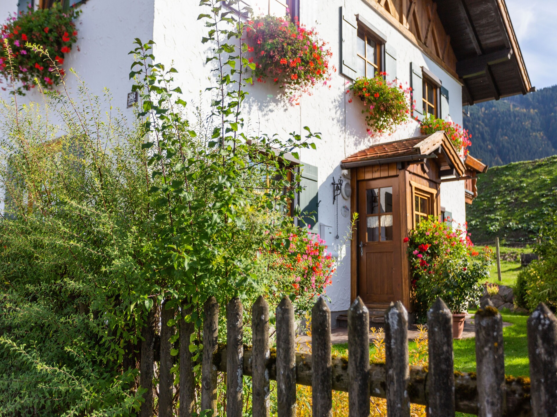 Knus appartement in Trauchgau met tuin, vlakbij skilift en bos - foto 27