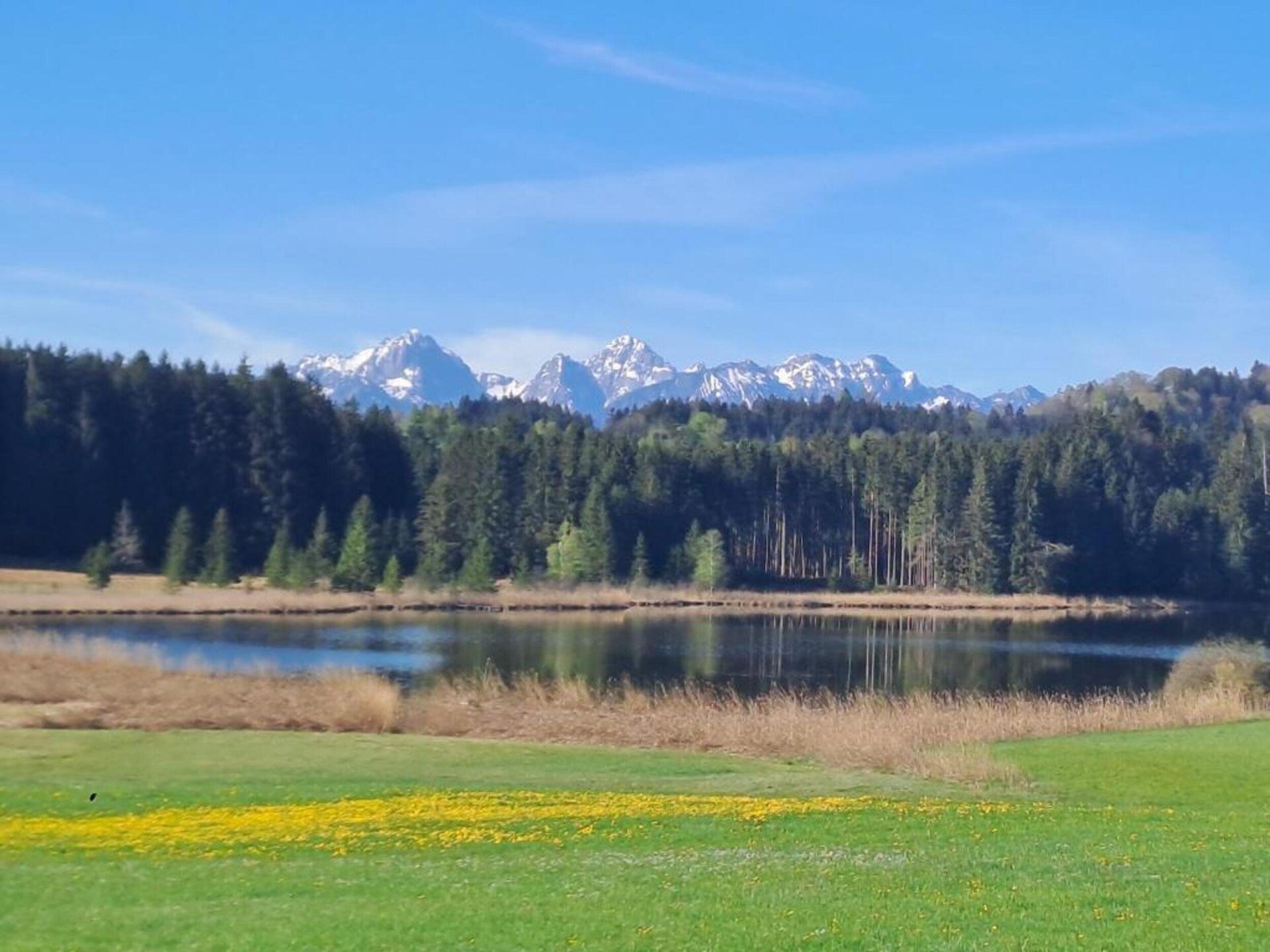 Knus appartement in Trauchgau met tuin, vlakbij skilift en bos - foto 32