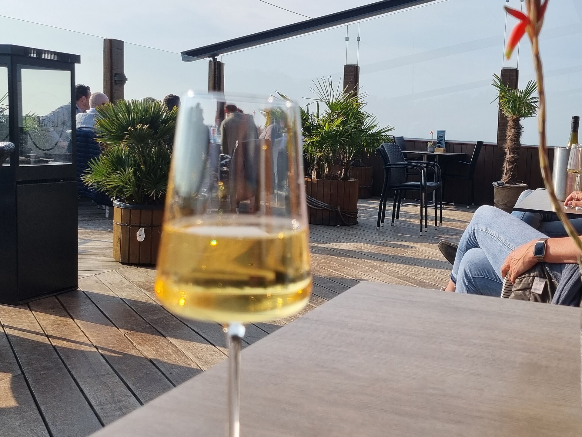 Luxe vakantievilla aan zee met privézwembad, sauna en lift in Colijnsplaat - foto 31