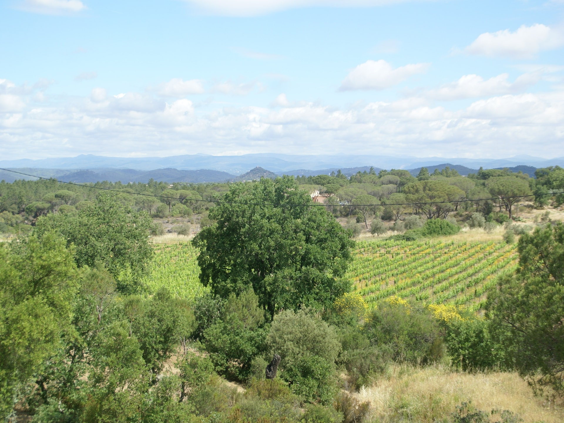 4-persoons villa in Vidauban met privézwembad en natuuruitzicht - foto 32