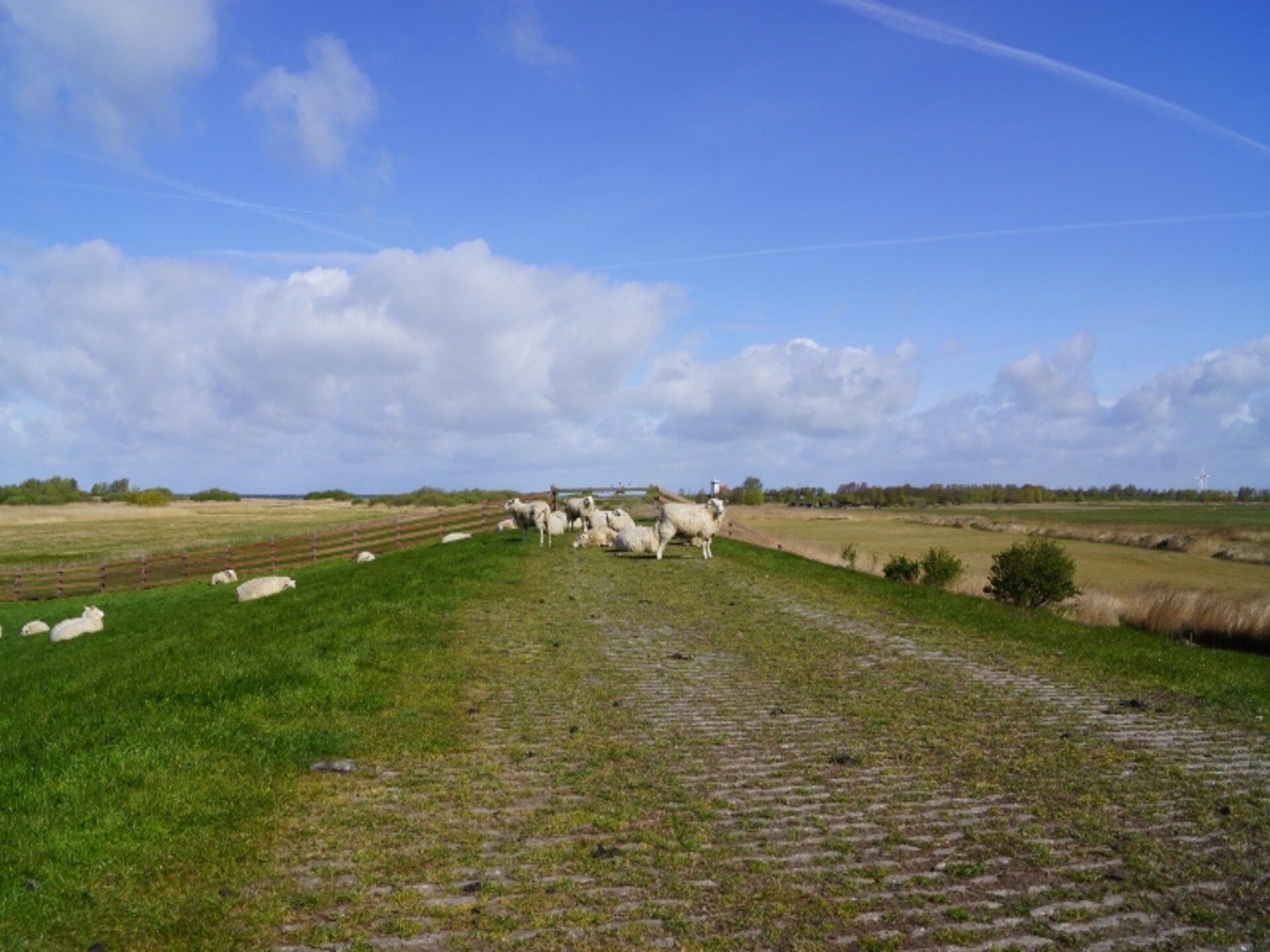 Skippers Inn: Sfeervol vakantiehuis aan het water in Hindeloopen - foto 27