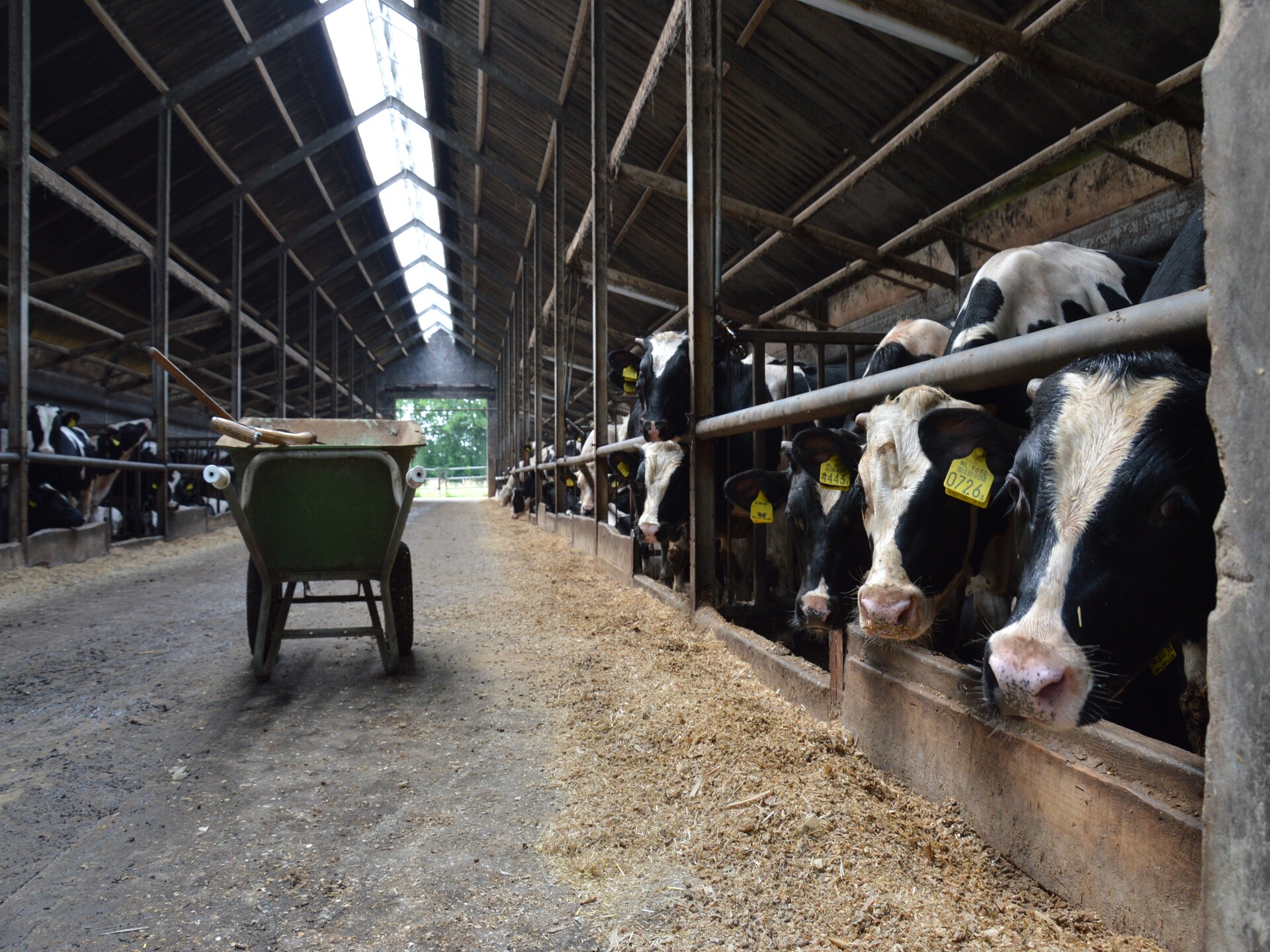 Bakhuus: sfeervol vakantiehuis op boerderij in bosrijk Geesteren - foto 24
