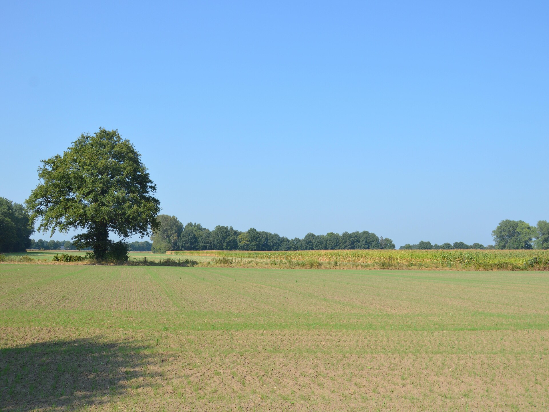 Bakhuus: sfeervol vakantiehuis op boerderij in bosrijk Geesteren - foto 22