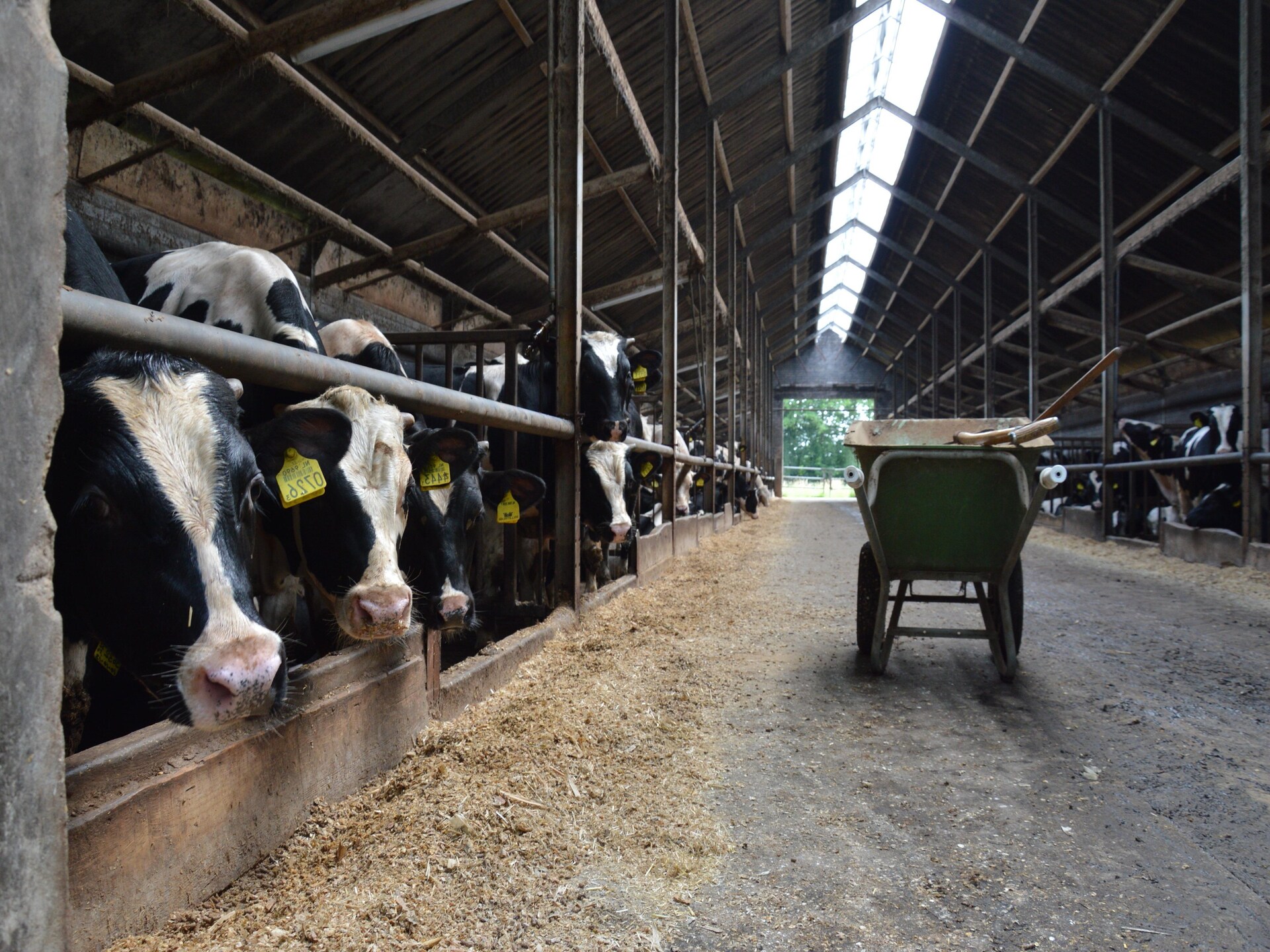 Bakhuus: sfeervol vakantiehuis op boerderij in bosrijk Geesteren - foto 30