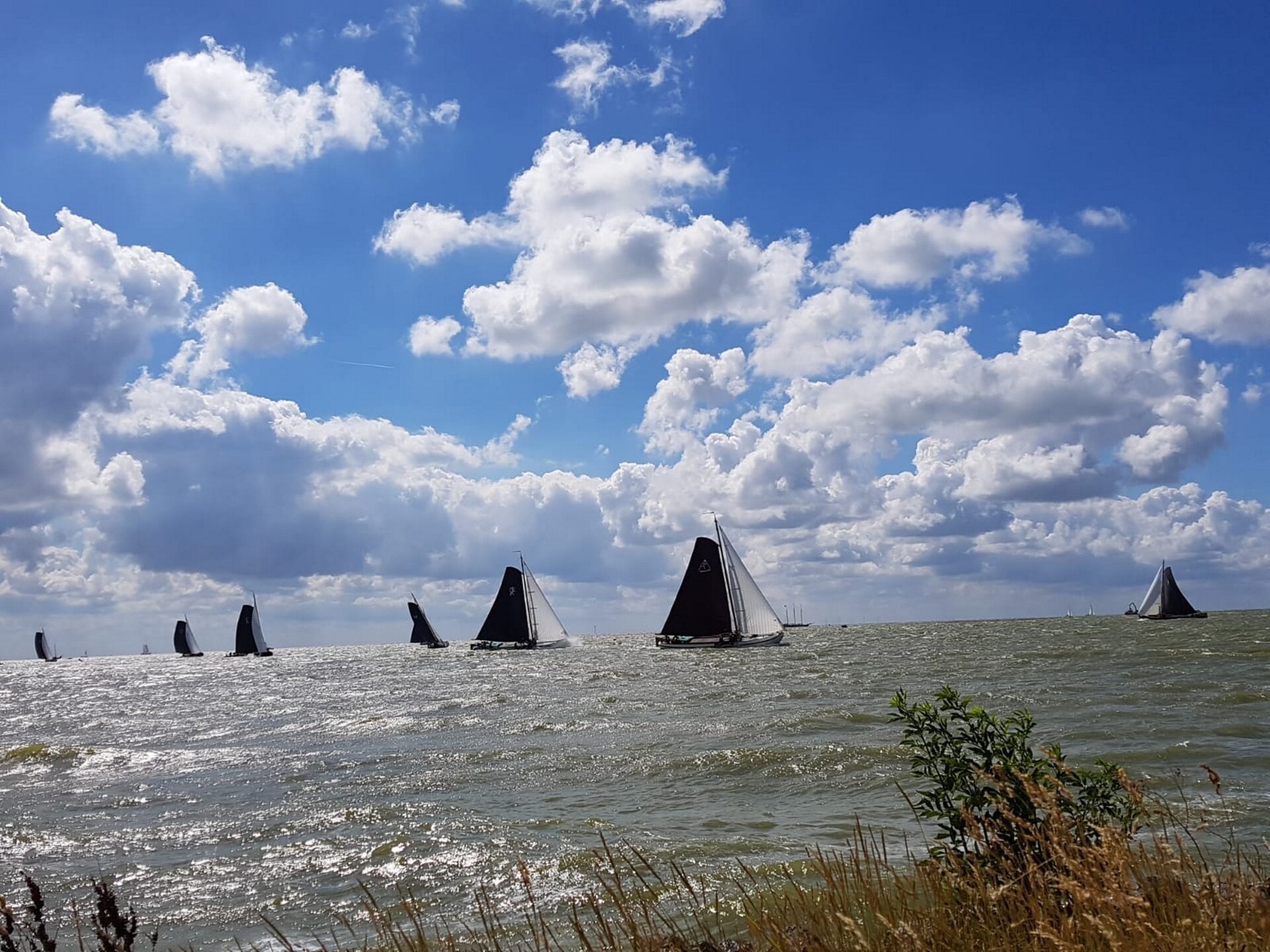 Luna: Vakantiehuis met eigen steiger aan het IJsselmeer in Stavoren - foto 26
