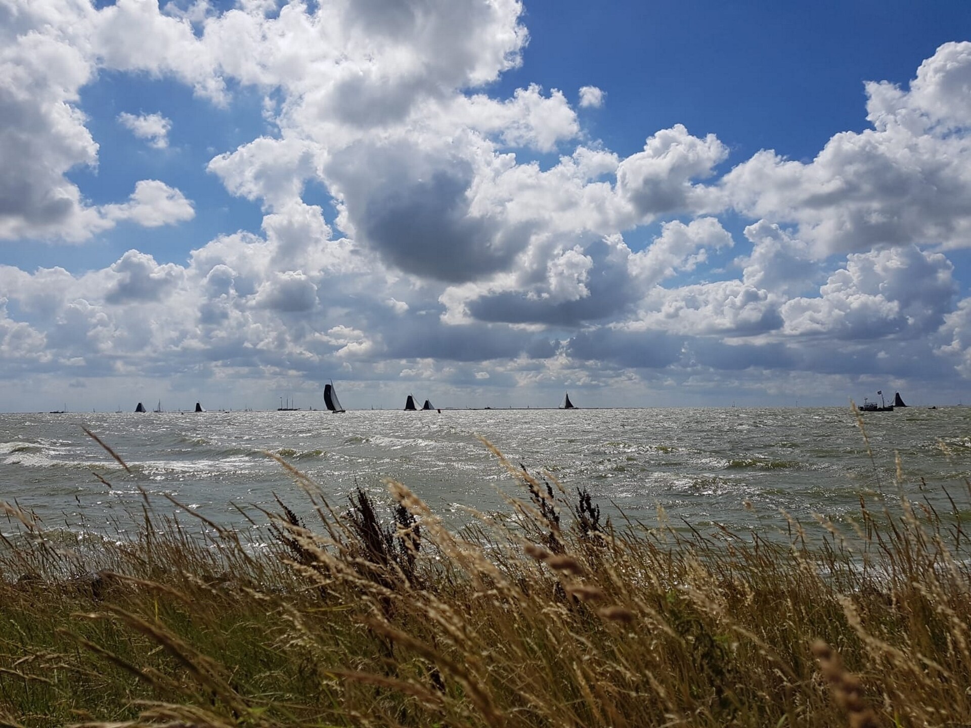 Luna: Vakantiehuis met eigen steiger aan het IJsselmeer in Stavoren - foto 28