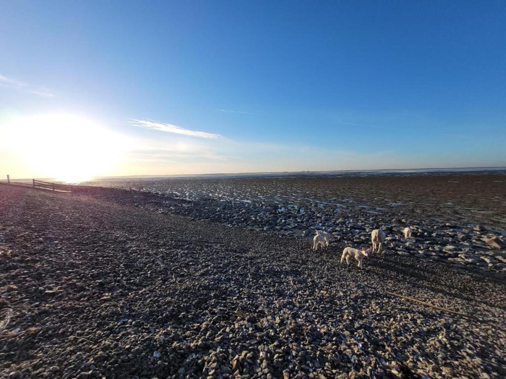 Luna: Vakantiehuis met eigen steiger aan het IJsselmeer in Stavoren - foto 30