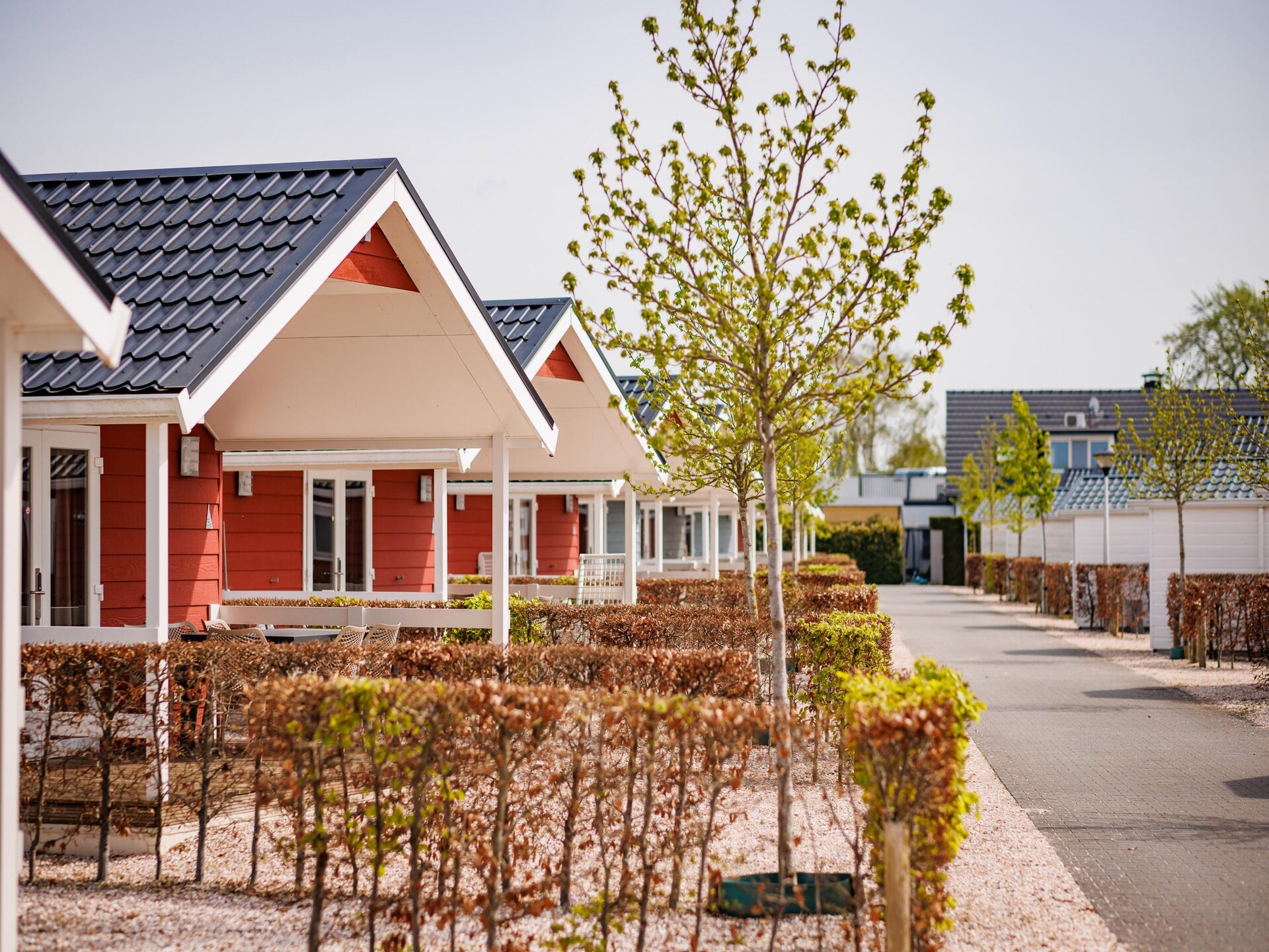 Rivierlodge Eiland van Maurik: genieten aan het water in de Betuwe - foto 14