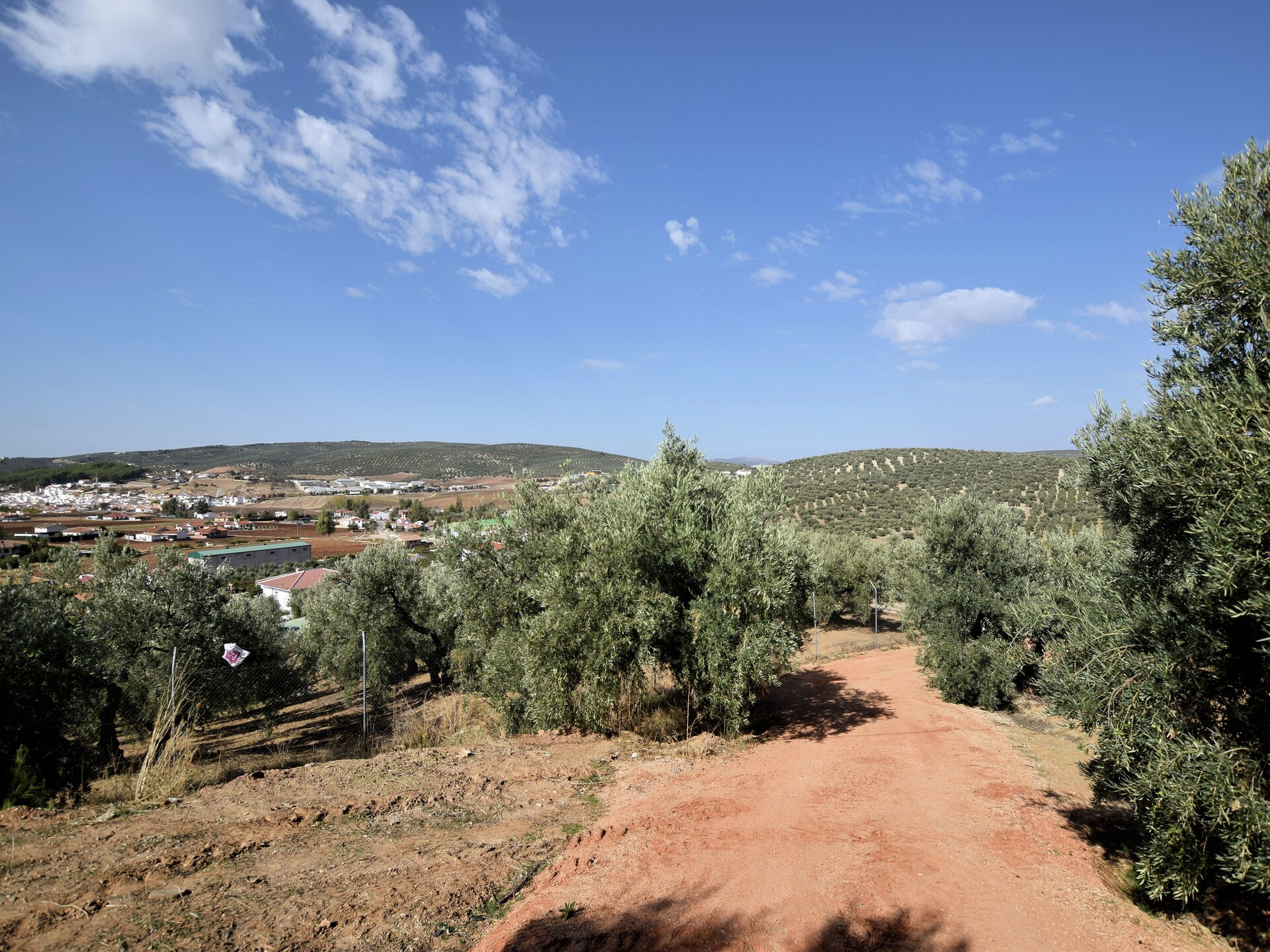 Casa Victor: Ruime Andalusische villa met panoramisch uitzicht in Villanueva de Trabuco - foto 37