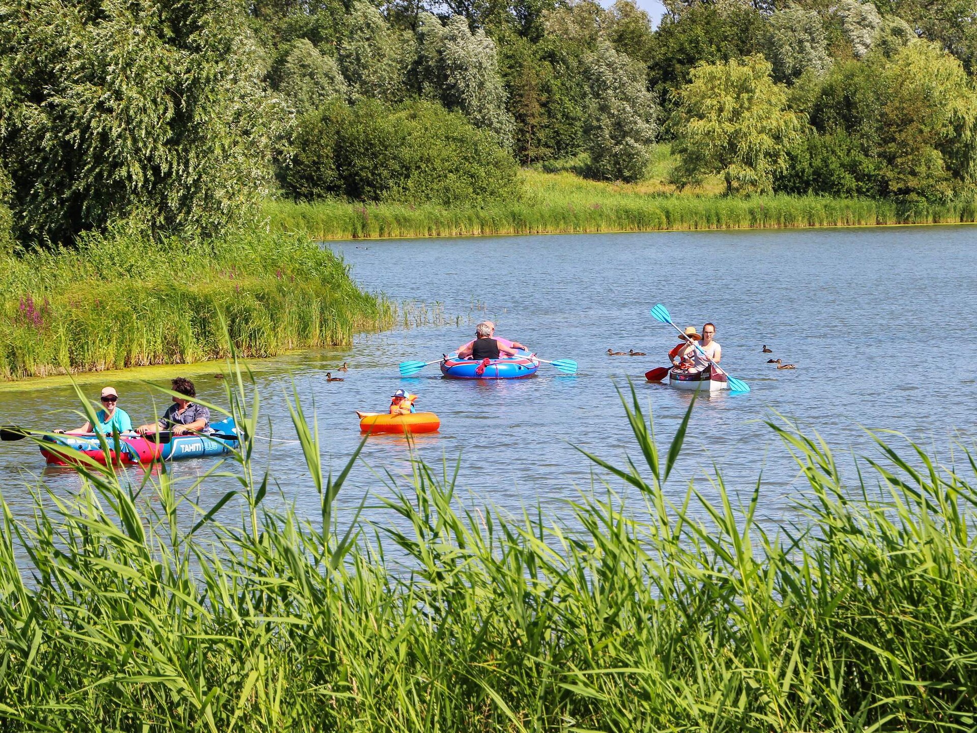 12-persoons vakantiehuis aan het water in Ottendorf - foto 16