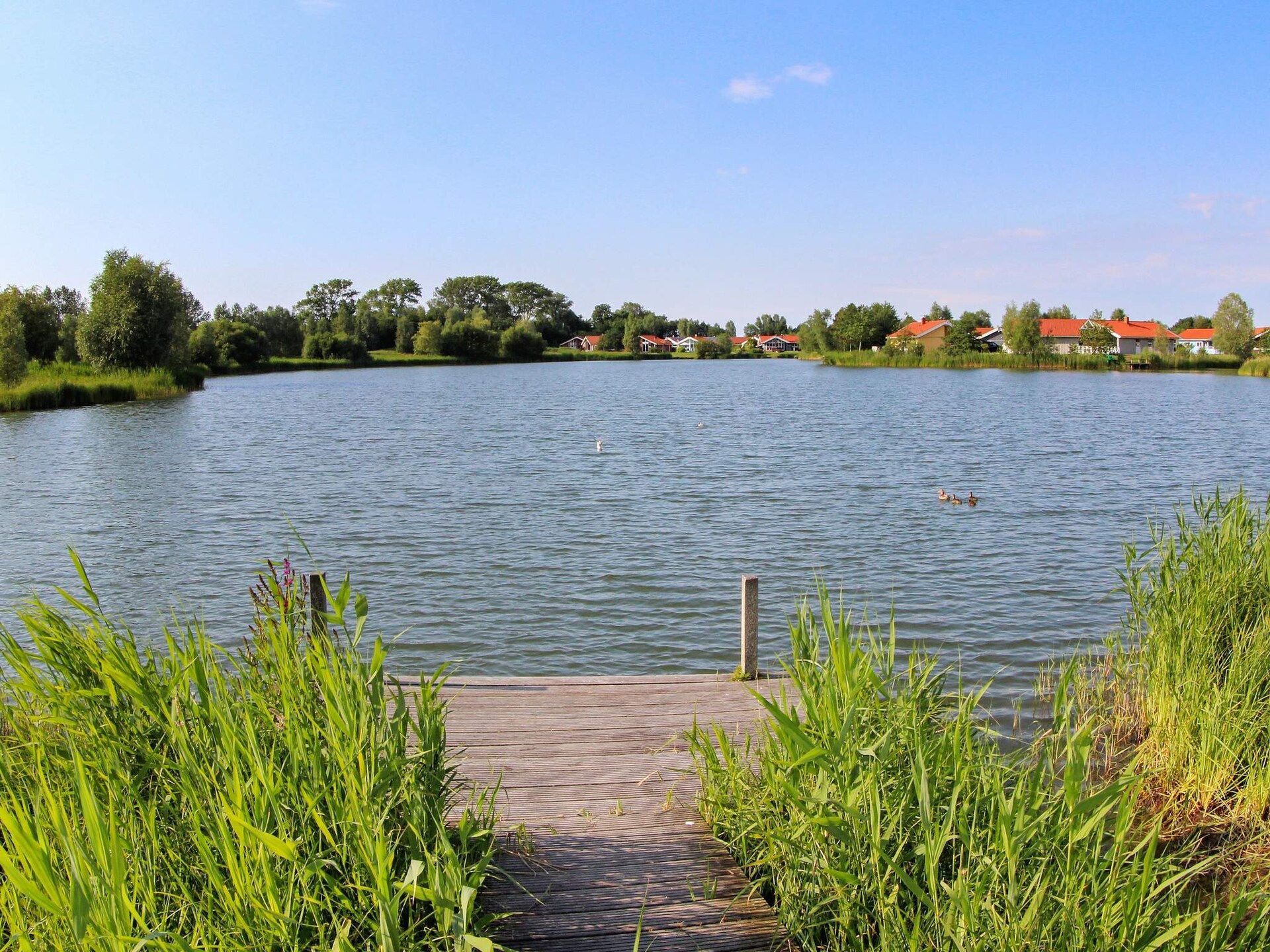 12-persoons vakantiehuis aan het water in Ottendorf - foto 44