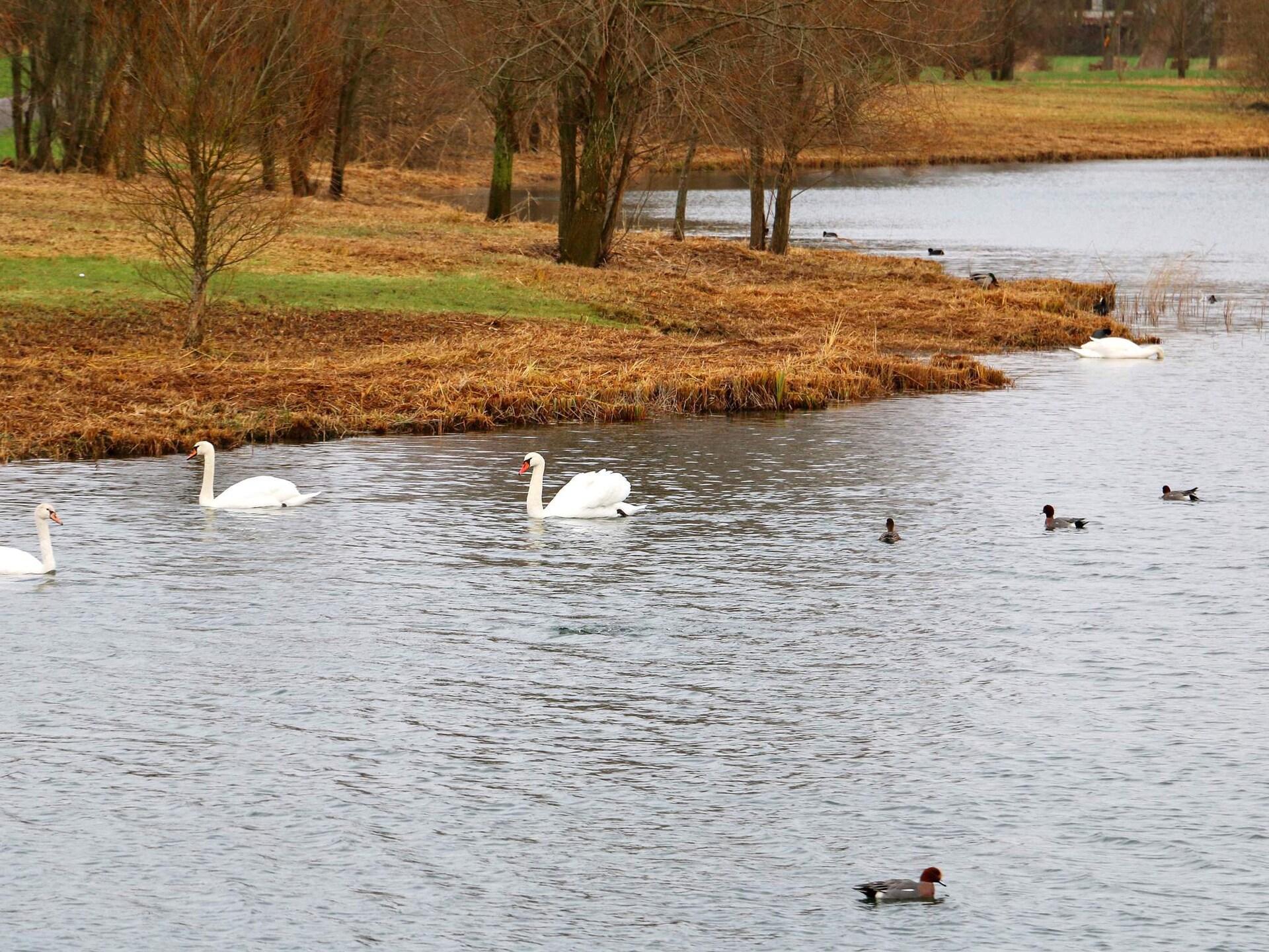 12-persoons vakantiehuis aan het water in Ottendorf - foto 48