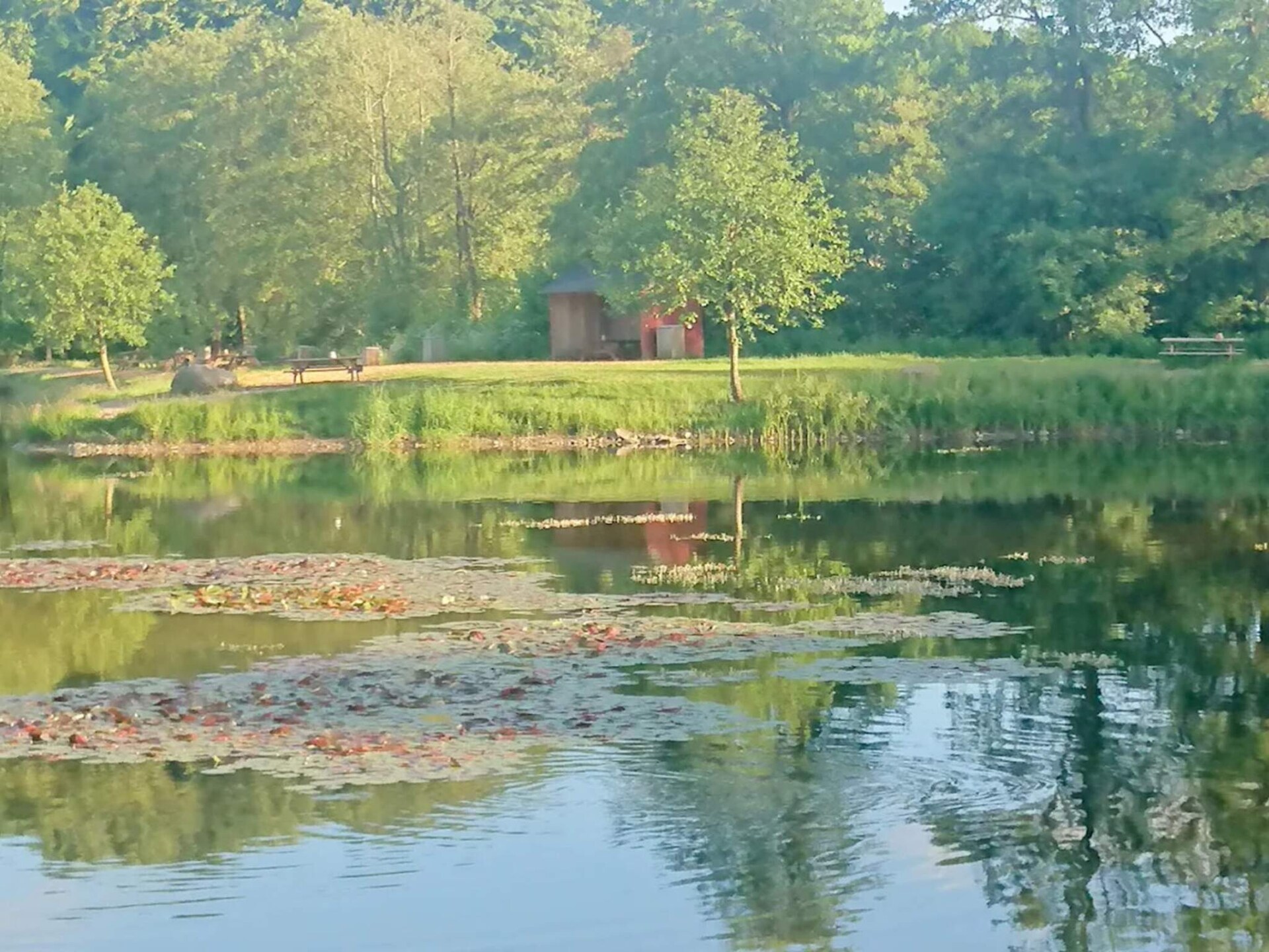 Luxe groepsverblijf Asbølhus met zwembad en sauna nabij meer - foto 4