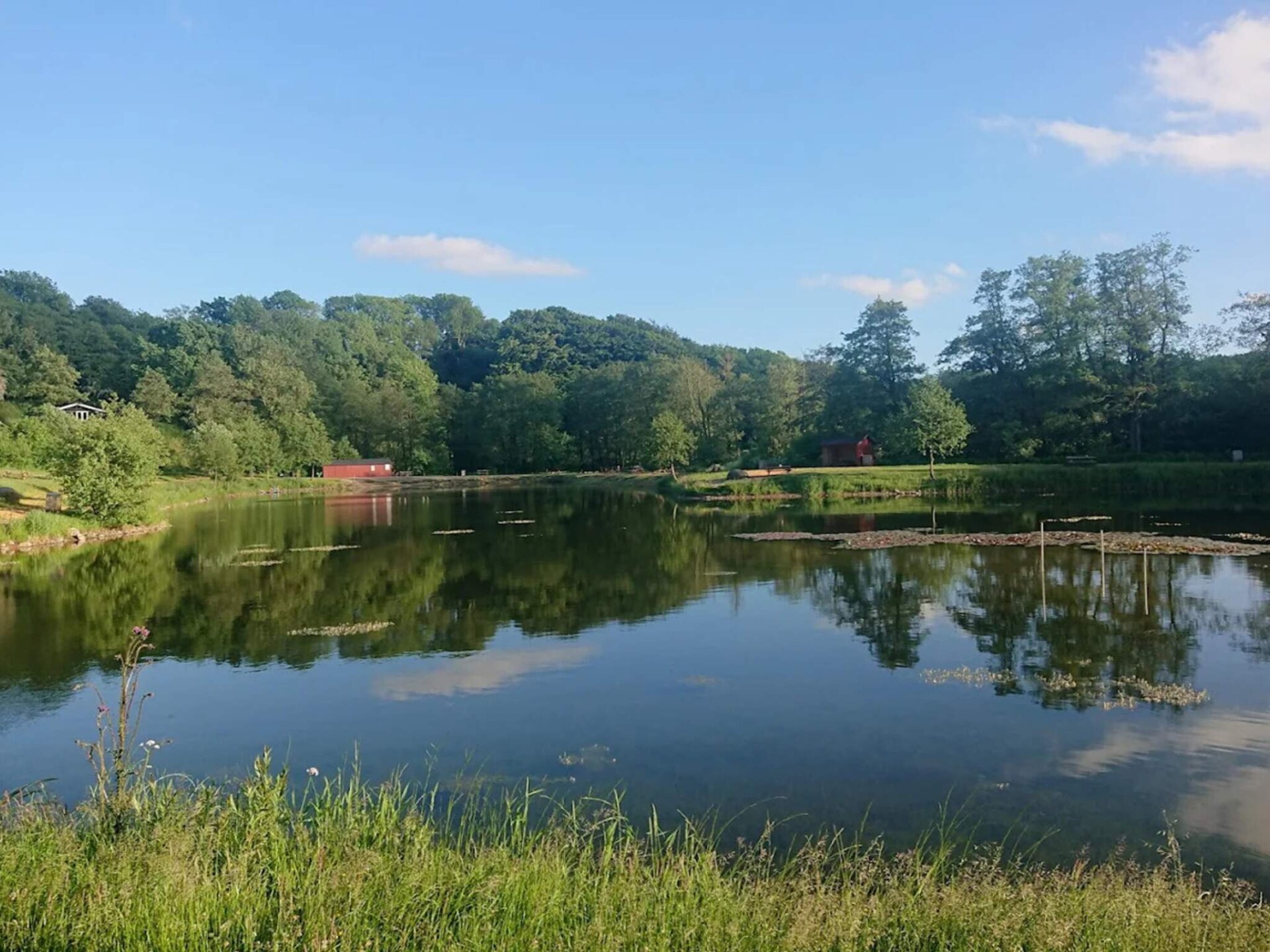 Luxe groepsverblijf Asbølhus met zwembad en sauna nabij meer - foto 11