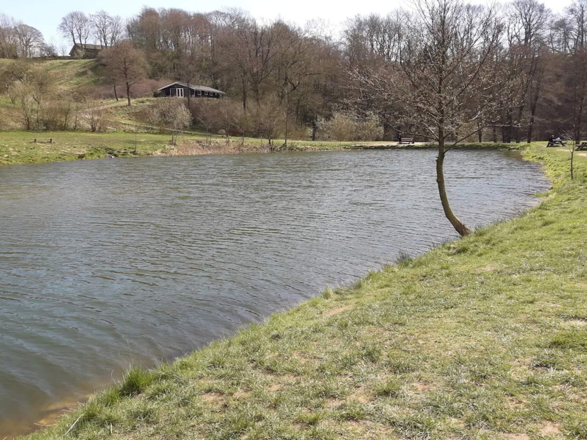 Luxe groepsverblijf Asbølhus met zwembad en sauna nabij meer - foto 12