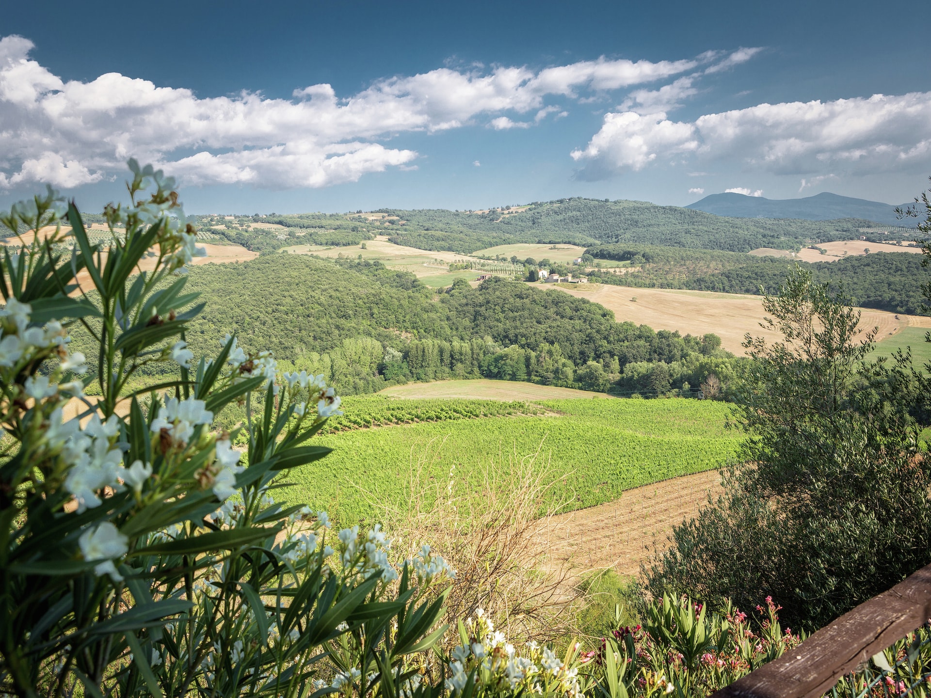 Ruime villa voor 14 personen in het hart van Montalcino - foto 35