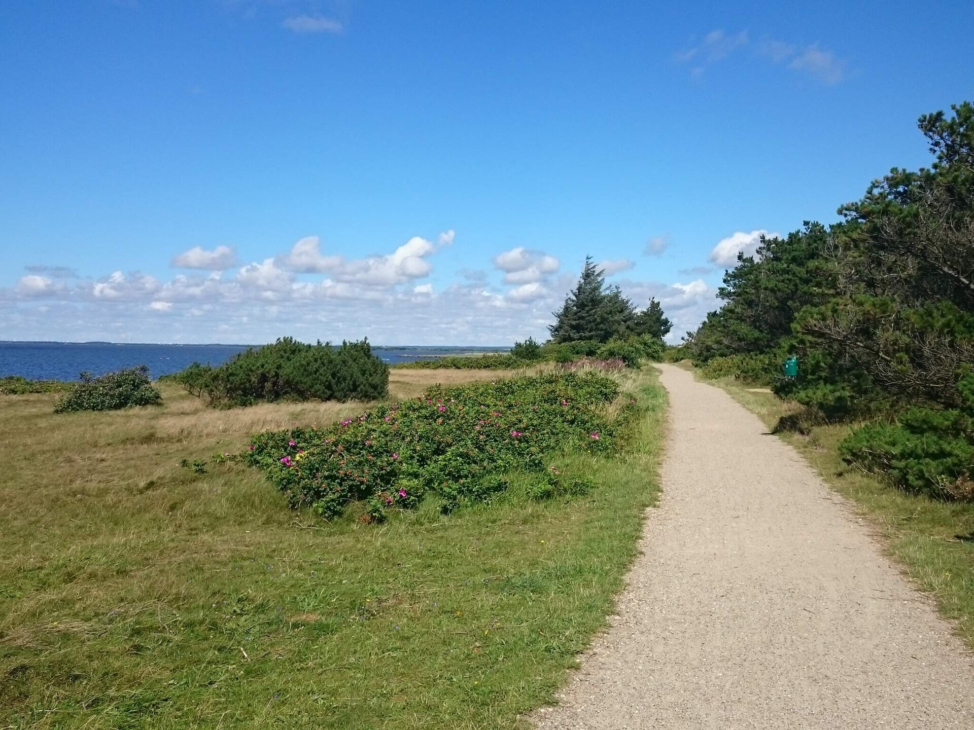 Gezellig stenen vakantiehuis op 500 meter van de Ringkøbing Fjord - foto 19