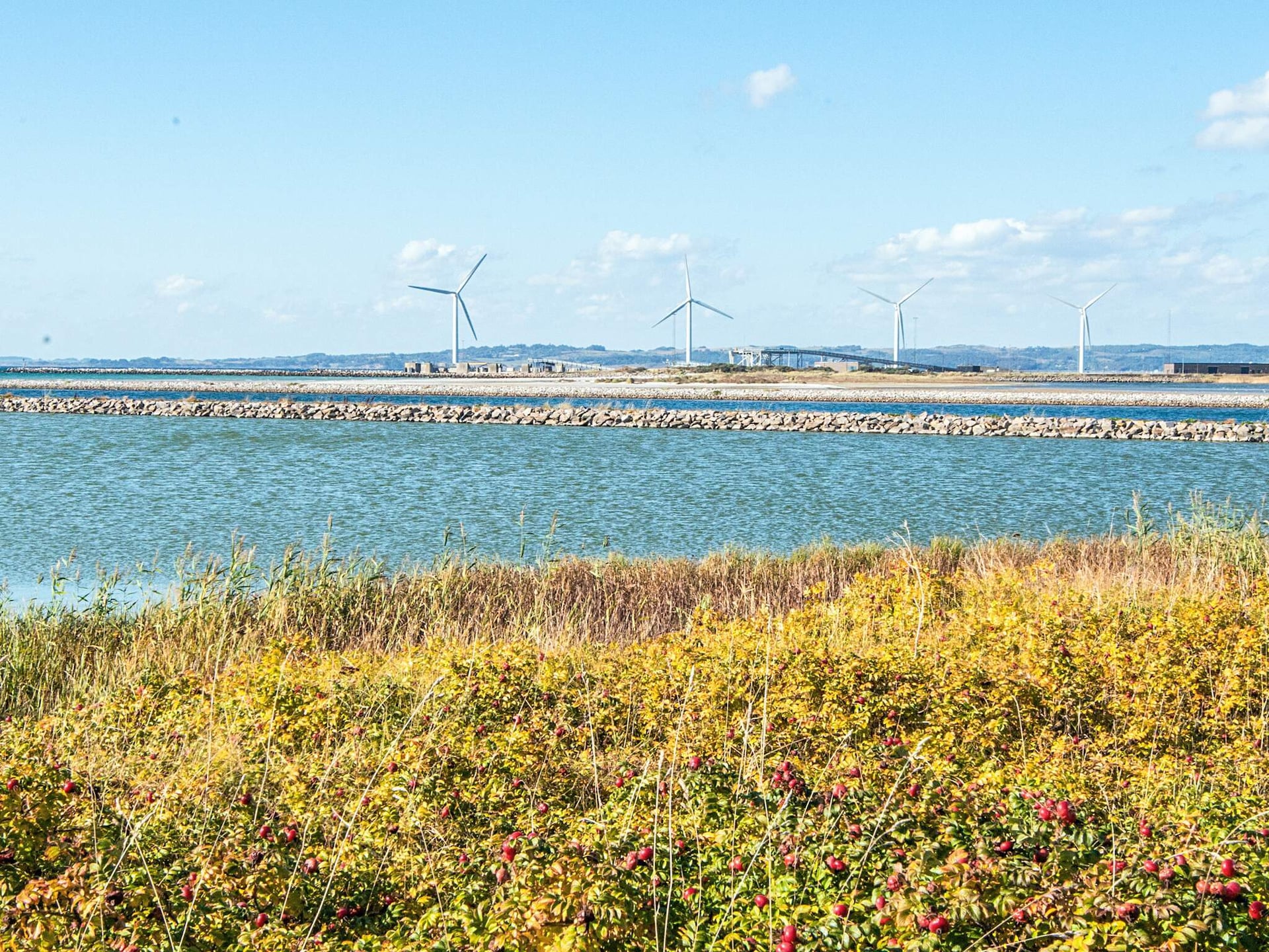 Aan zee: Vakantiehuis in Ebeltoft met privézwembad voor 10 personen - foto 39