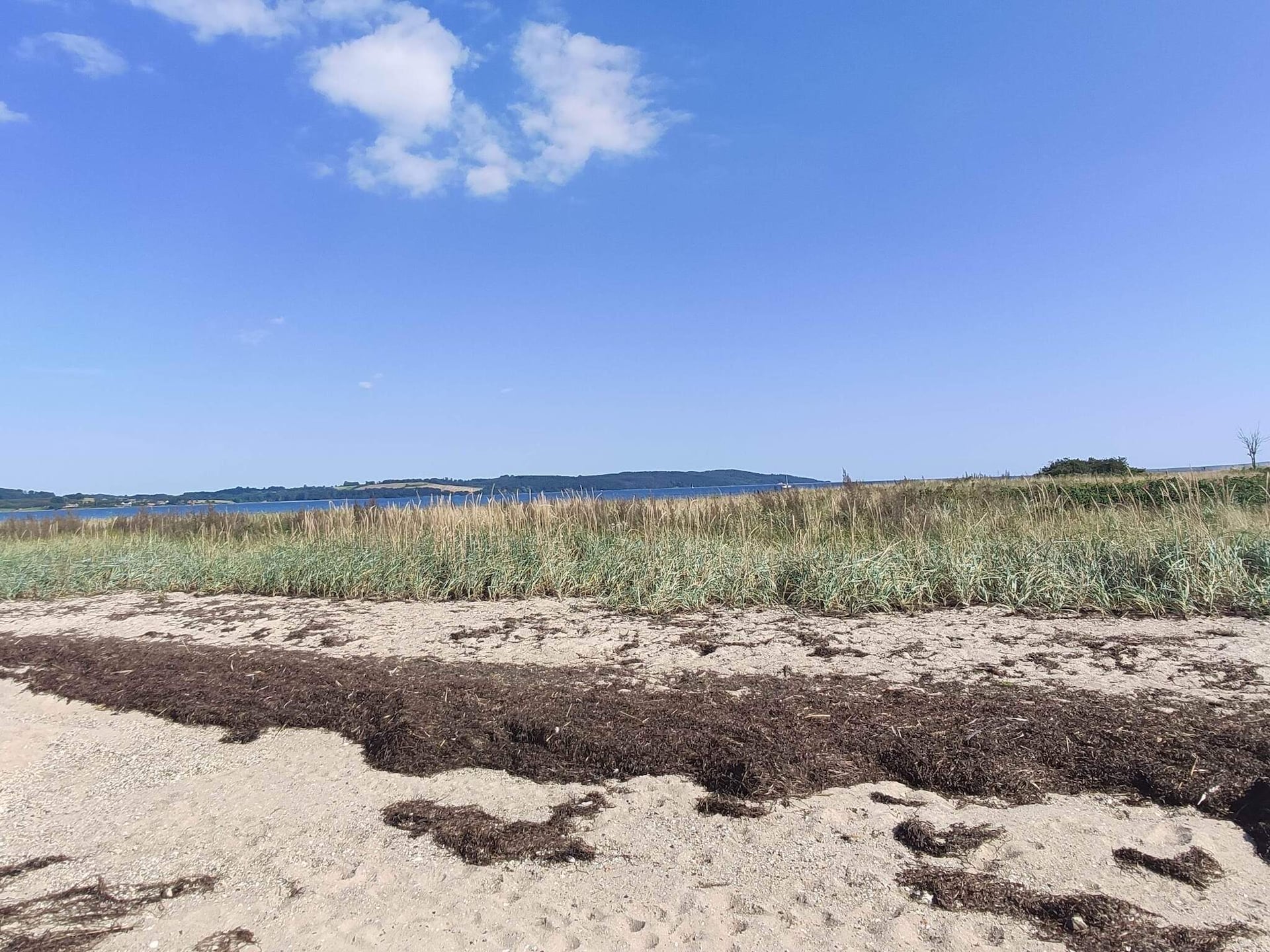 4-persoons vakantiehuis in Børkop direct aan zee - foto 6