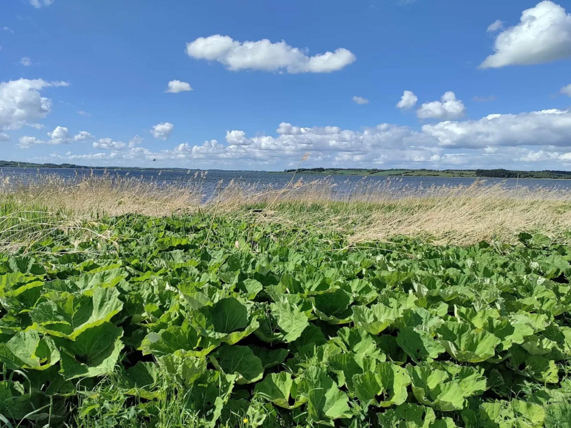 8-persoons vakantiehuis aan zee in Løgstrup - foto 22