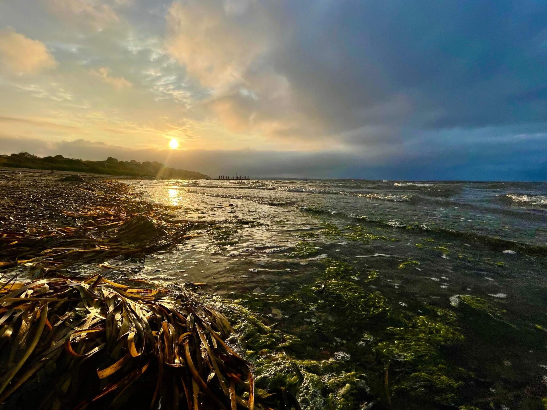 Op 350 m van zee: sfeervol vakantiehuis voor 5 personen in Roslev - foto 19