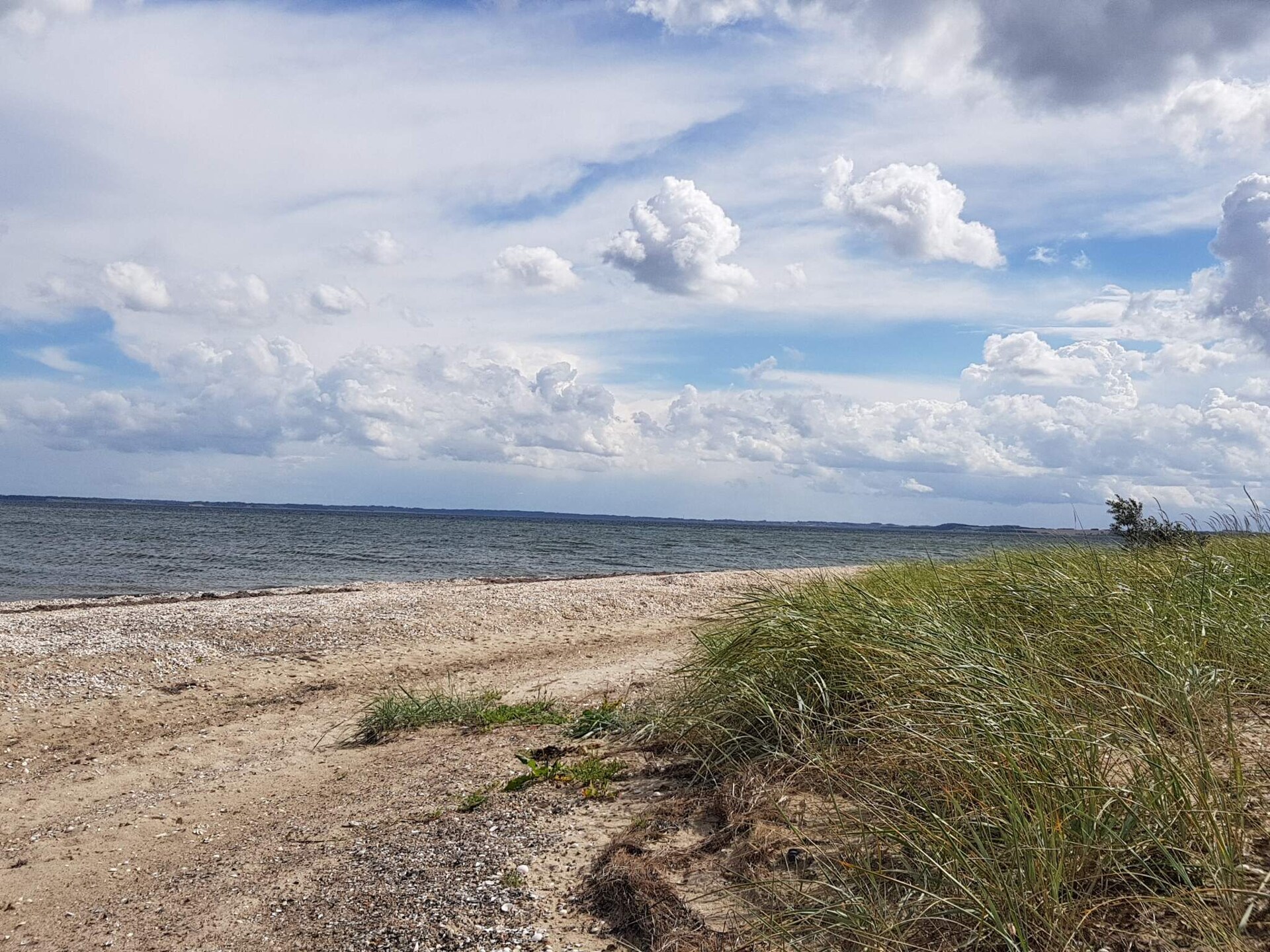 Op 350 m van zee: sfeervol vakantiehuis voor 5 personen in Roslev - foto 31