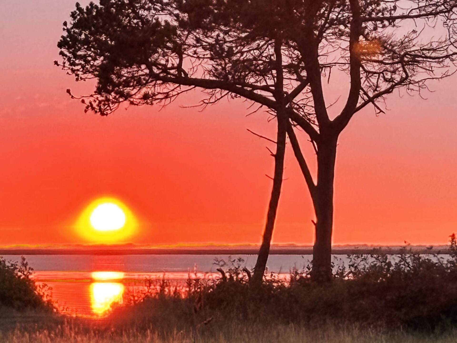 Aan zee: Rustiek vakantiehuis met panoramisch uitzicht in Hemmet - foto 15