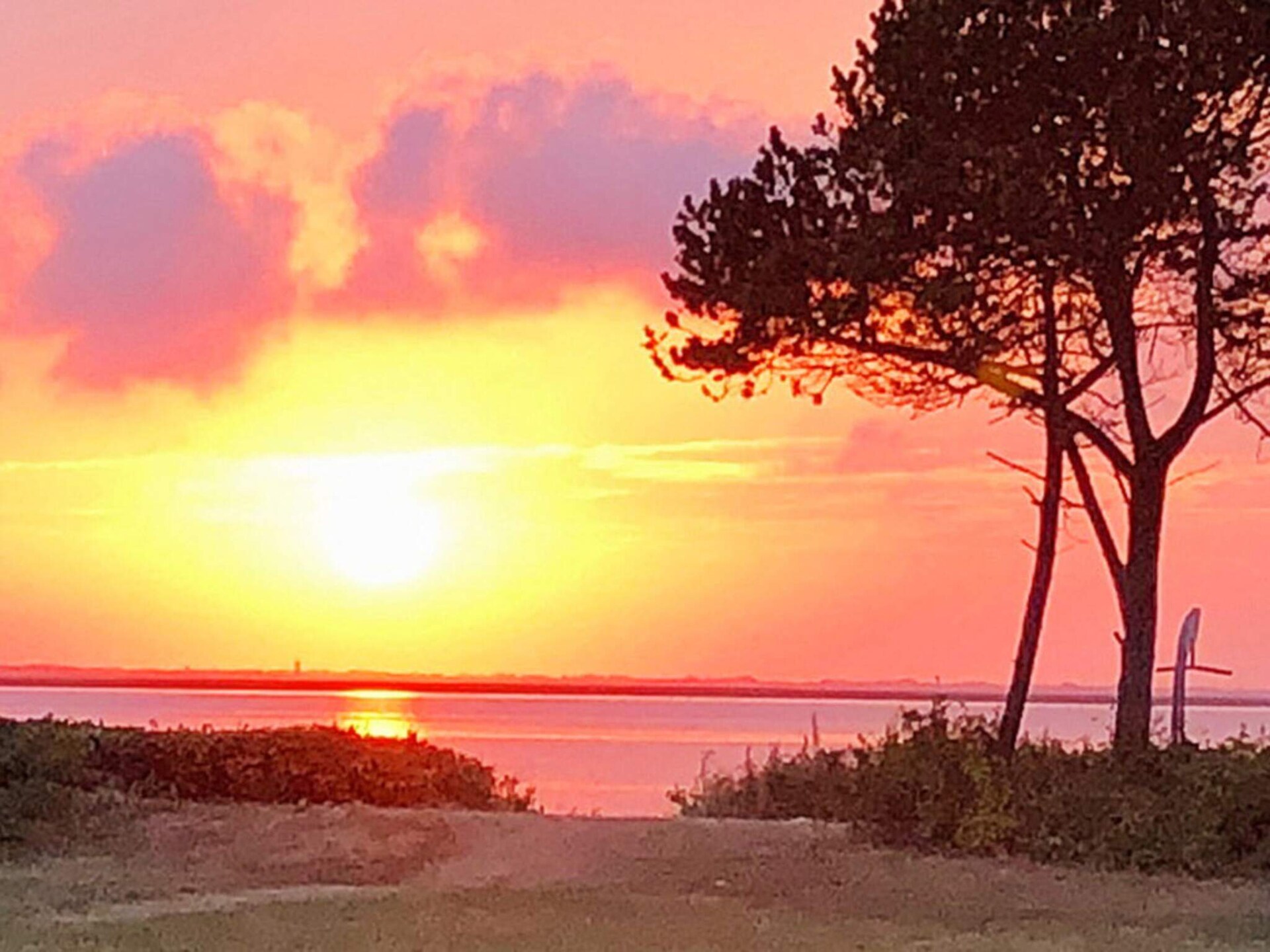 Aan zee: Rustiek vakantiehuis met panoramisch uitzicht in Hemmet - foto 37