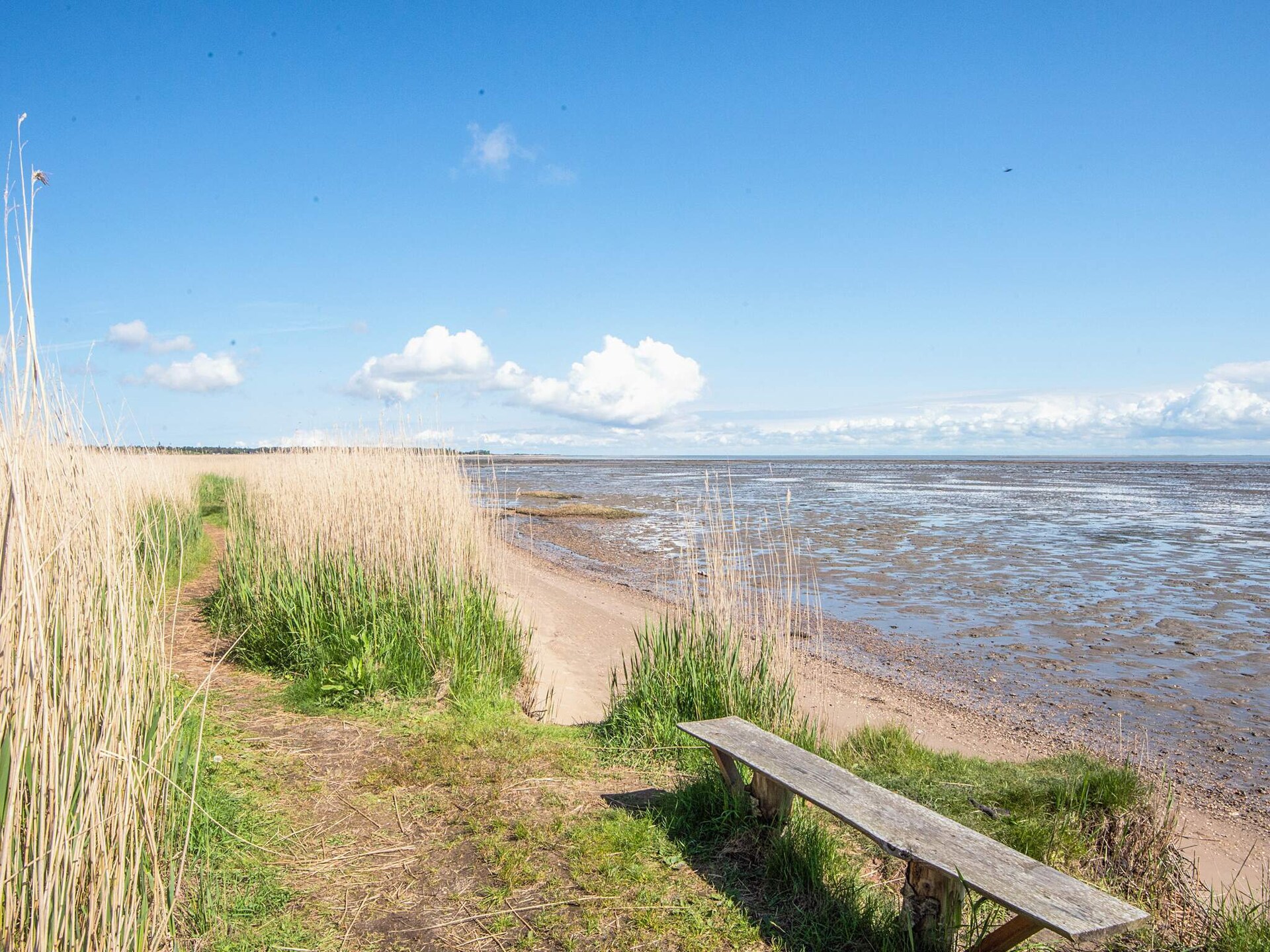 Licht appartement op 100 meter van de Waddenzee in Havneby op Rømø - foto 14