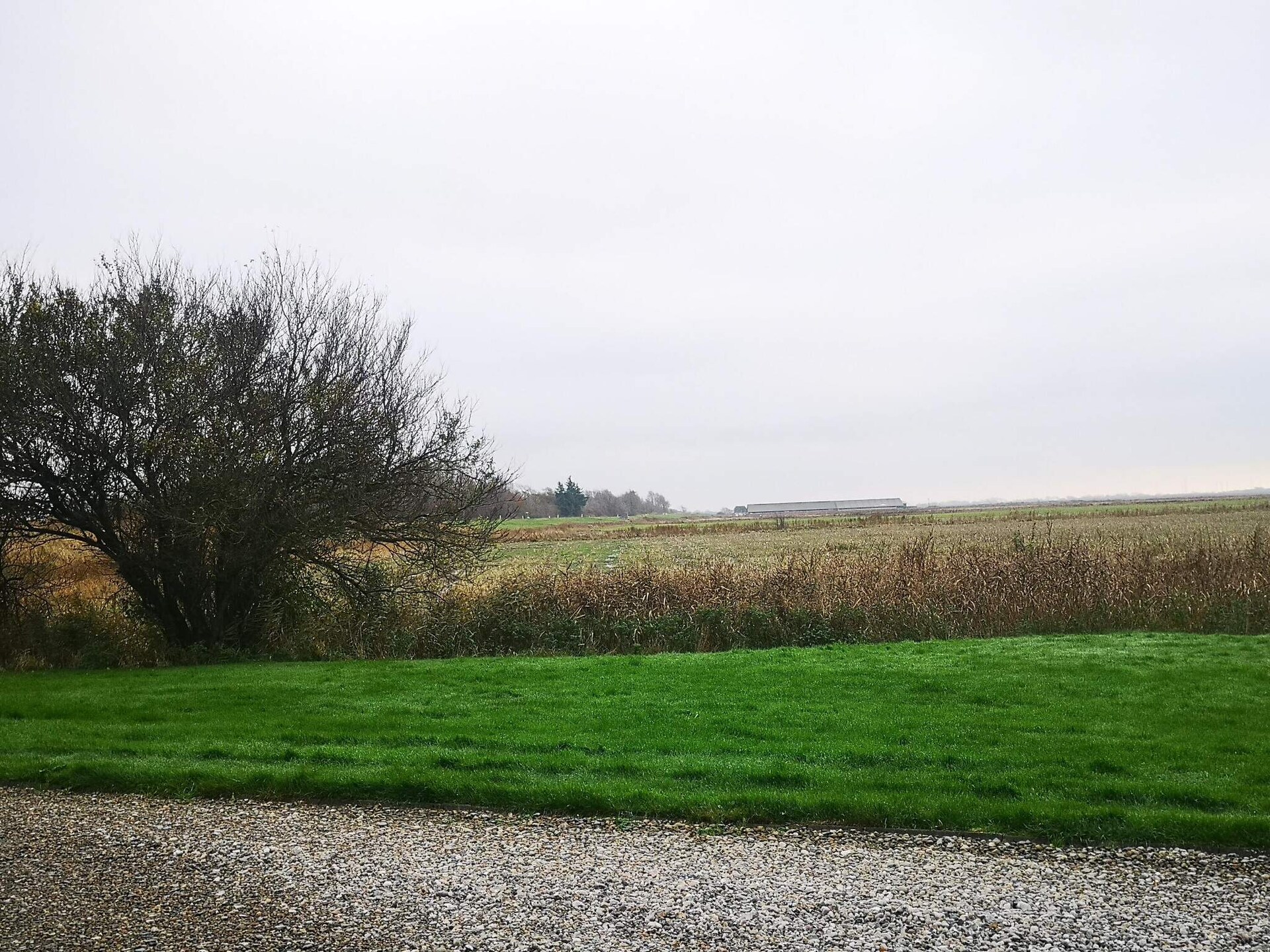 Landelijk appartement bij Højer met WLAN, 12 km van zee - foto 10