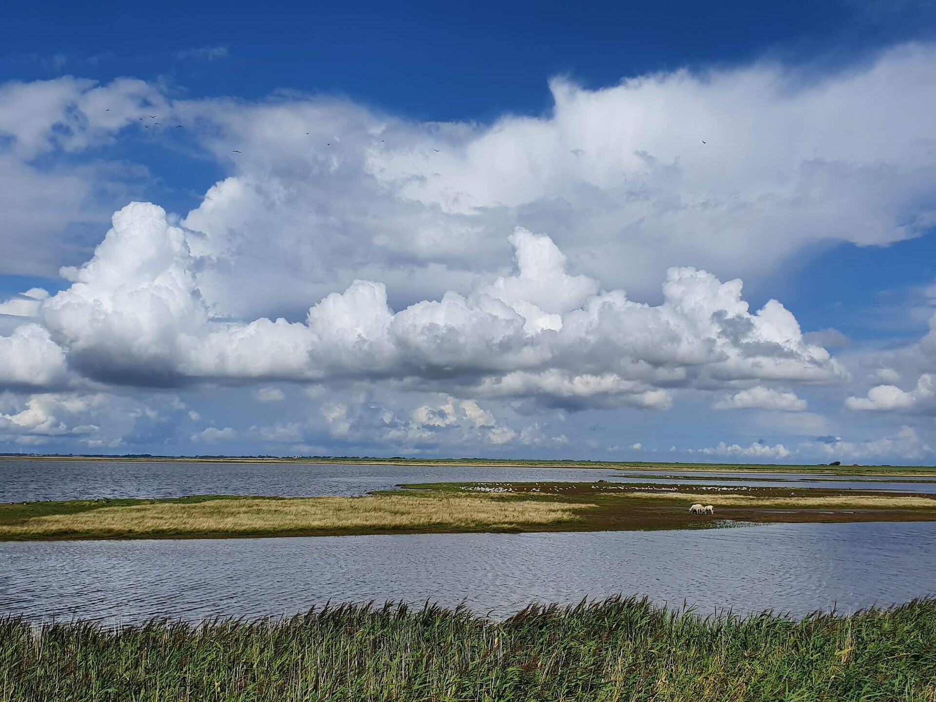 Landelijk appartement bij Højer met WLAN, 12 km van zee - foto 24