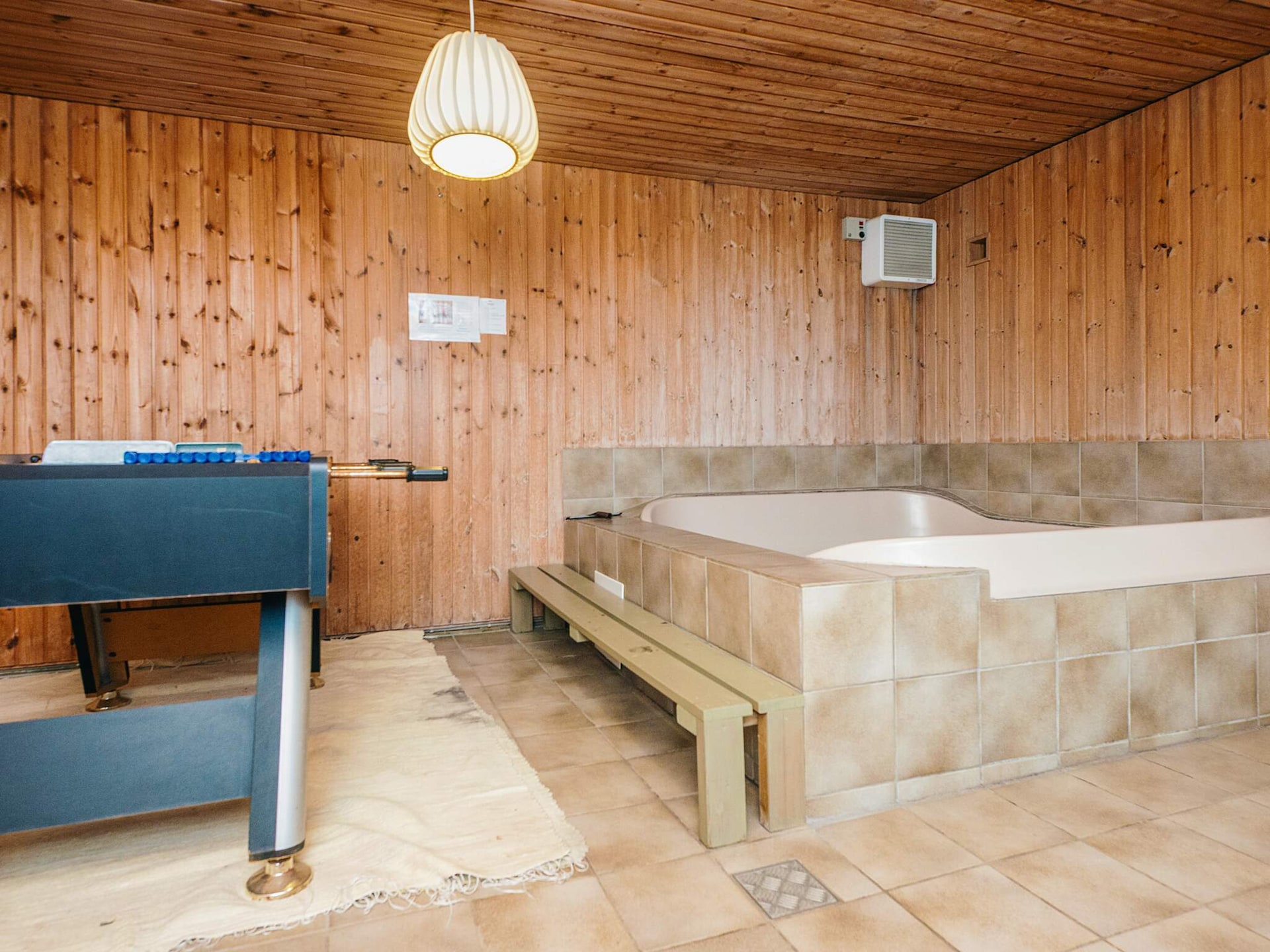 Ruim vakantiehuis met sauna en whirlpool op 2 km van de zee in Blåvand - foto 15