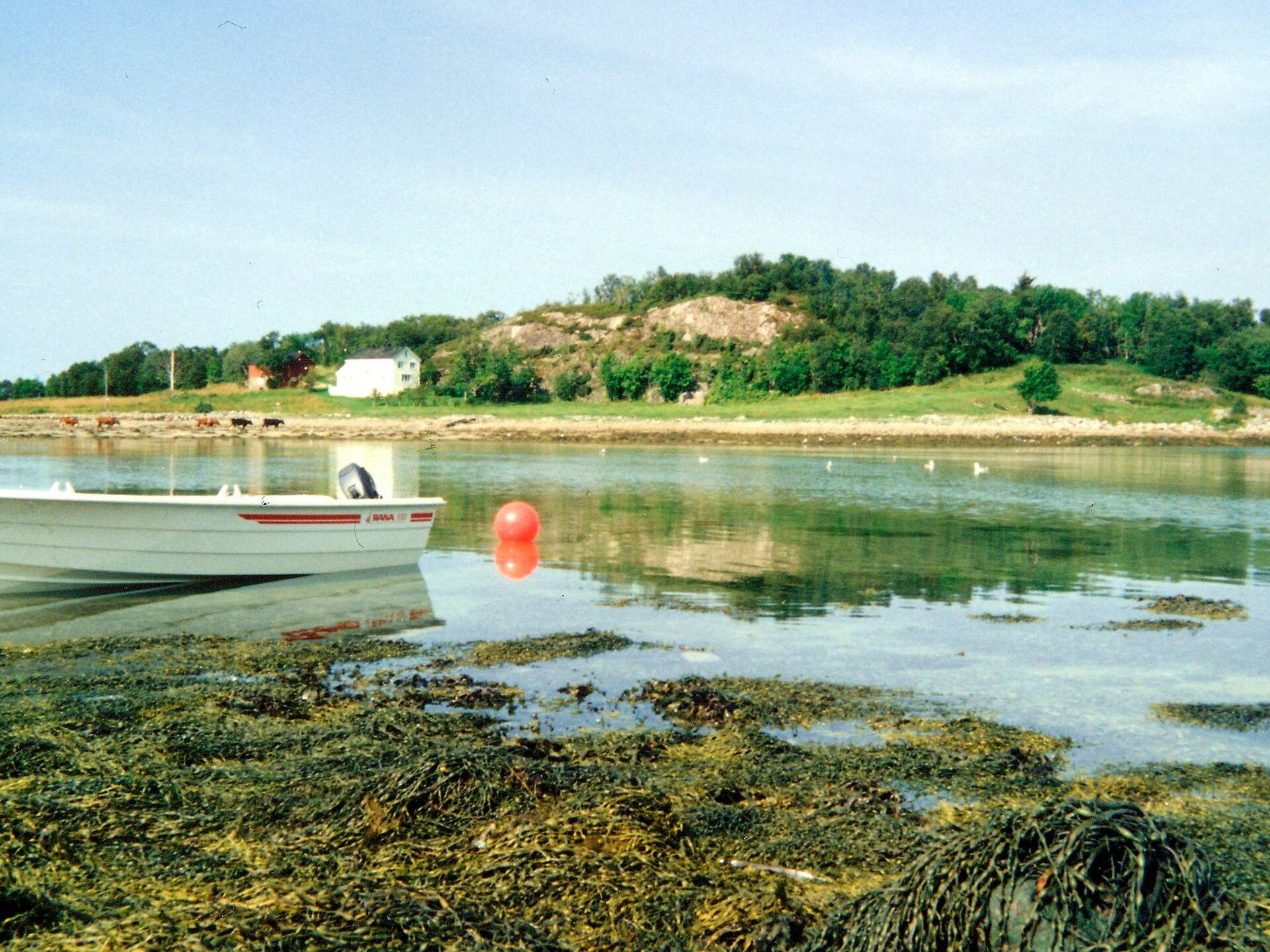 Eenvoudig vakantiehuis aan meer Skarsvatnet met boot en uitzicht op Åmøya - foto 21