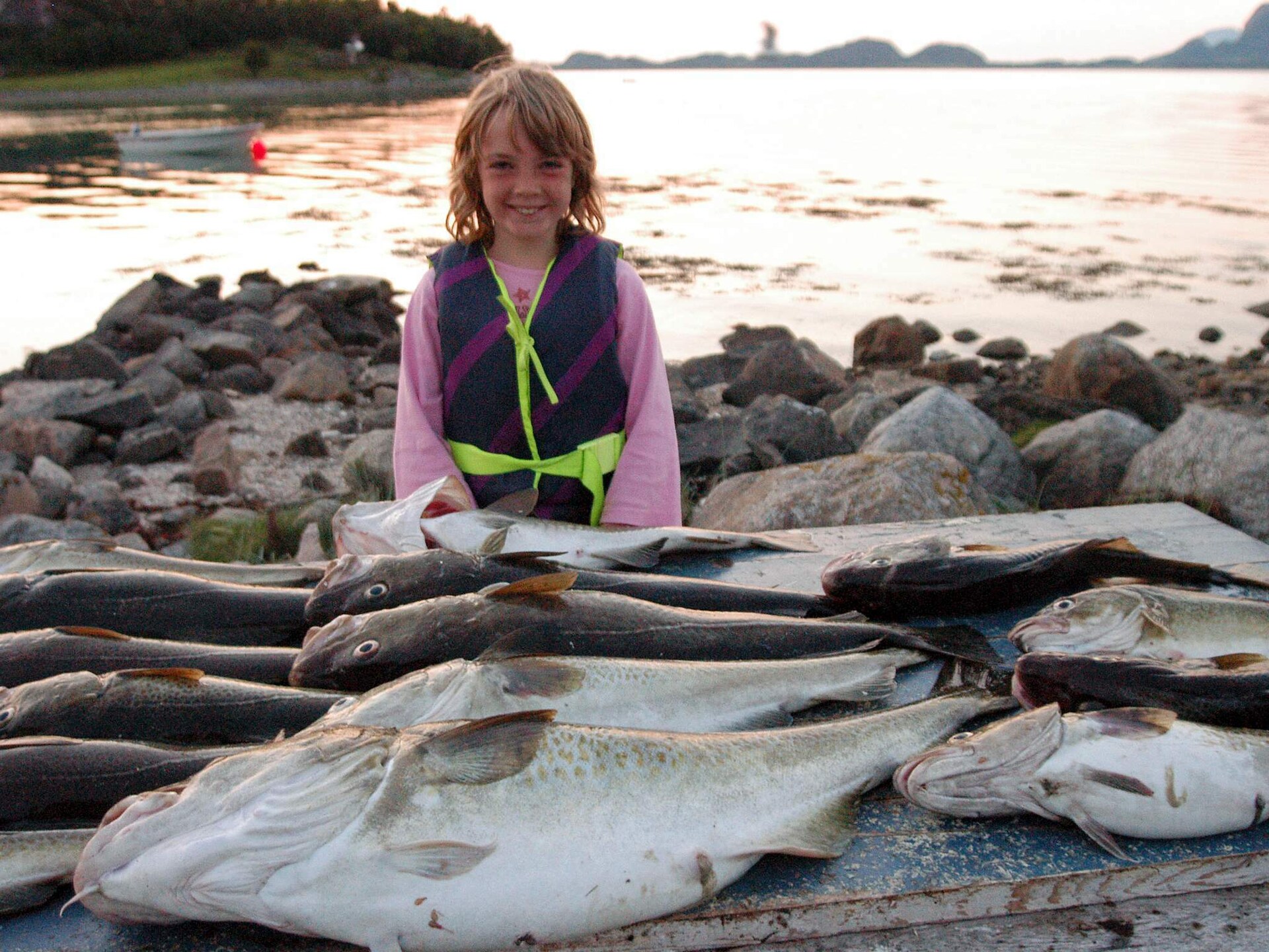 Eenvoudig vakantiehuis aan meer Skarsvatnet met boot en uitzicht op Åmøya - foto 22