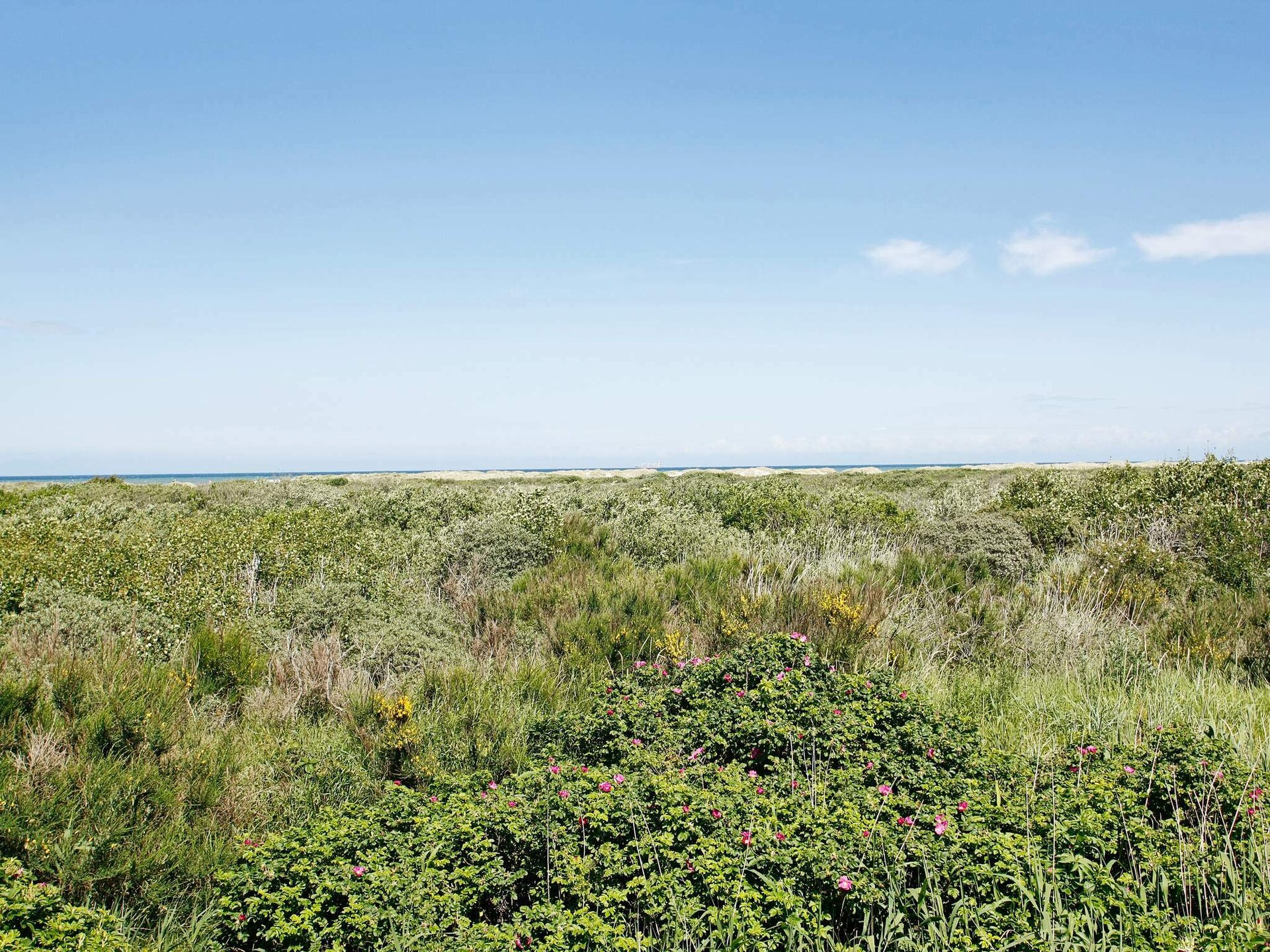 Noordelijkste vakantiehuis van Denemarken met panoramisch uitzicht op twee zeeën - foto 31