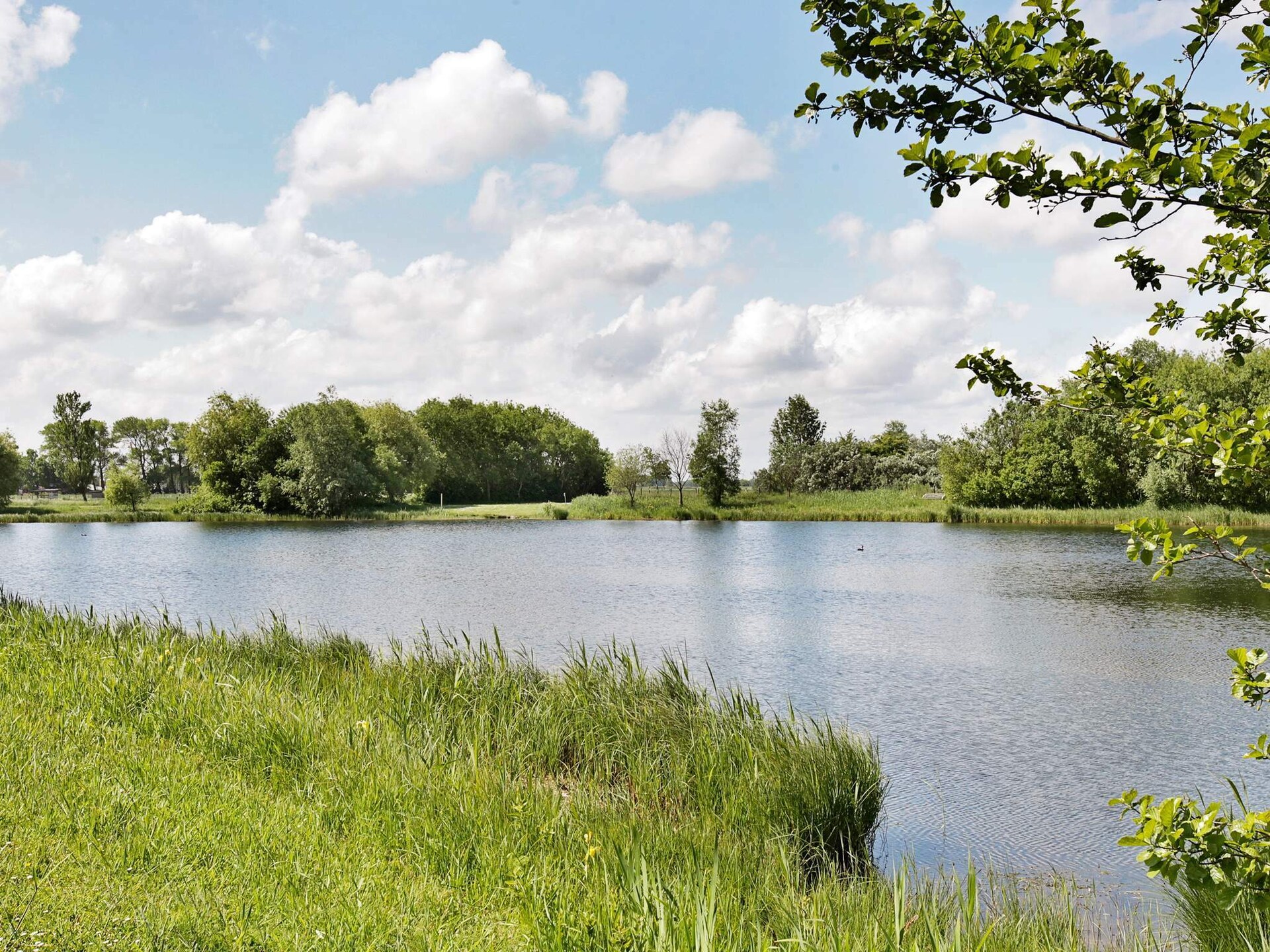 Vrijstaand vakantiehuis met sauna en whirlpool direct aan het meer in Otterndorf - foto 14