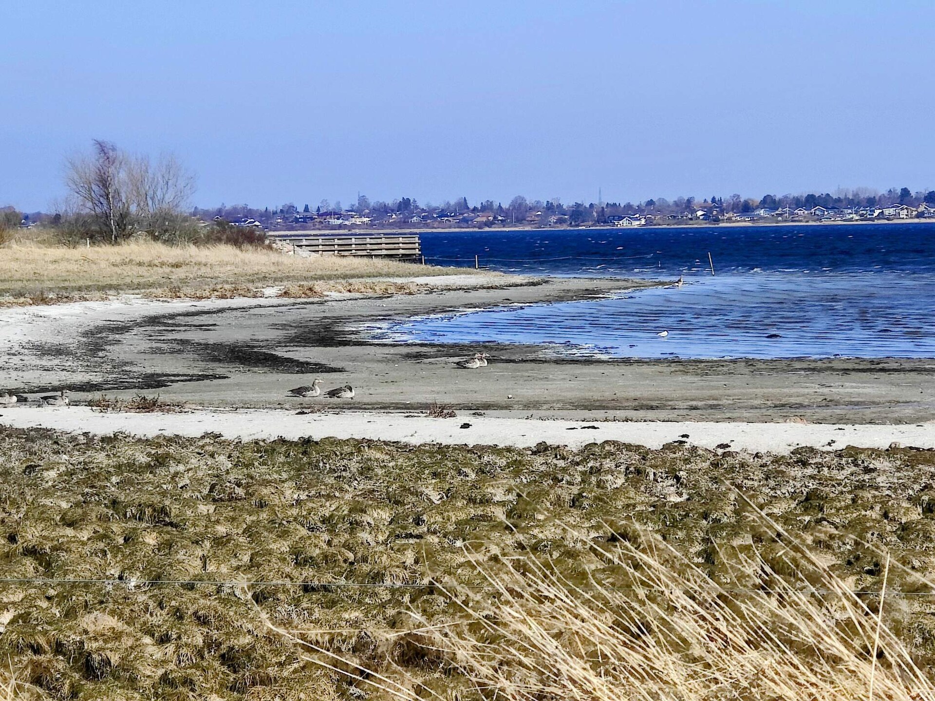 4-persoons vakantiehuis aan zee in Skibby - foto 21