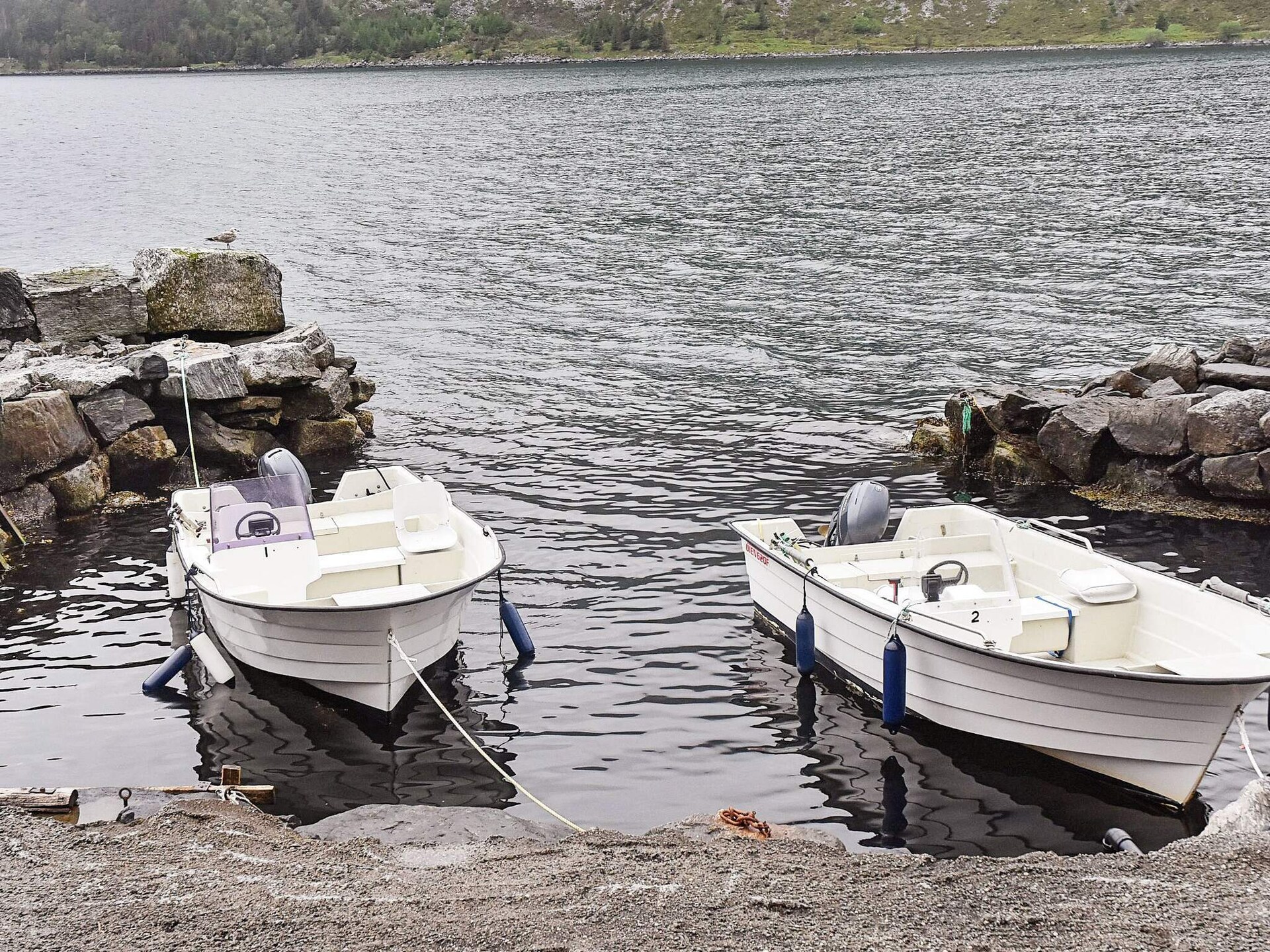Vrijstaand vissershuis direct aan de fjord in Selje – vis vanaf de veranda - foto 37