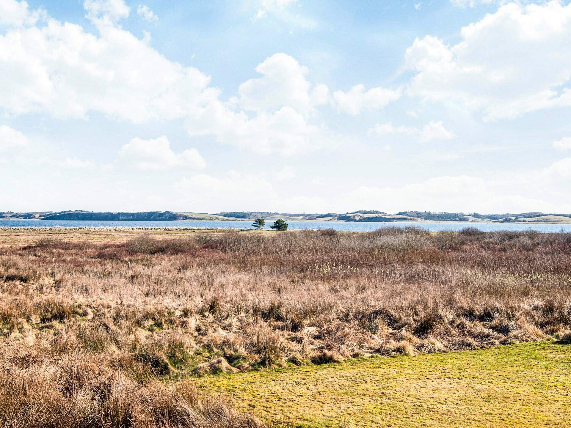 Vrijstaand vakantiehuis aan het Limfjord met whirlpool, sauna en panoramisch uitzicht - foto 8