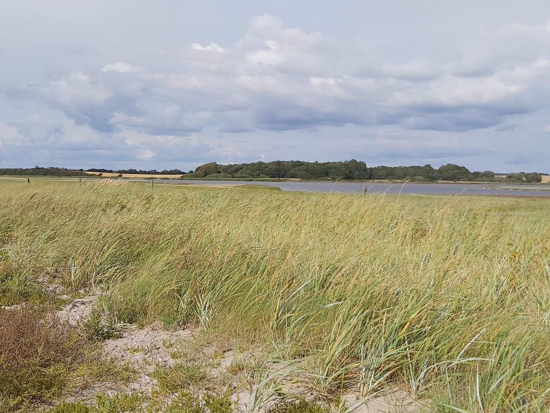 Knus vakantiehuis op 30 meter van zee met panoramisch uitzicht - foto 2