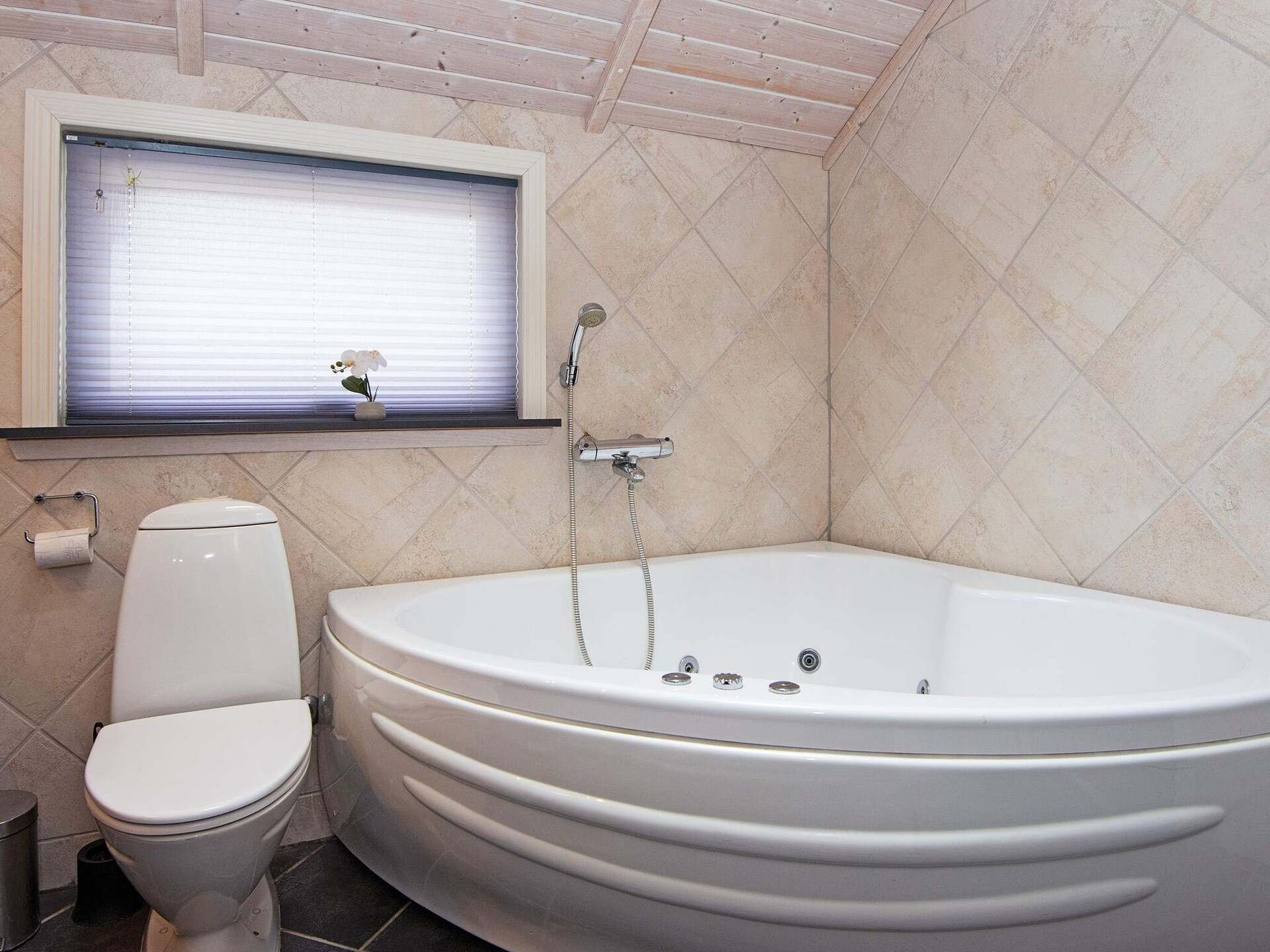 Licht vakantiehuis met sauna en whirlpool op 400 meter van de Oostzee - foto 7