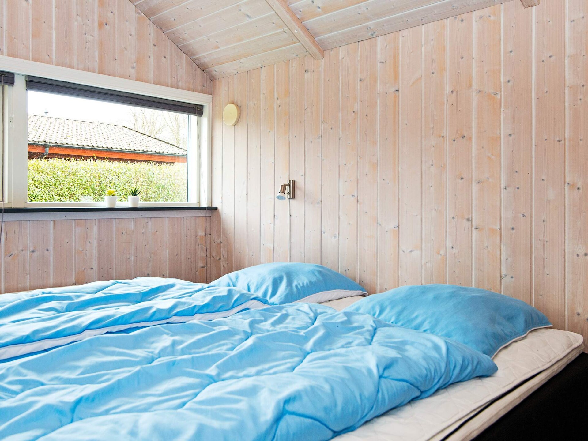 Licht vakantiehuis met sauna en whirlpool op 400 meter van de Oostzee - foto 8