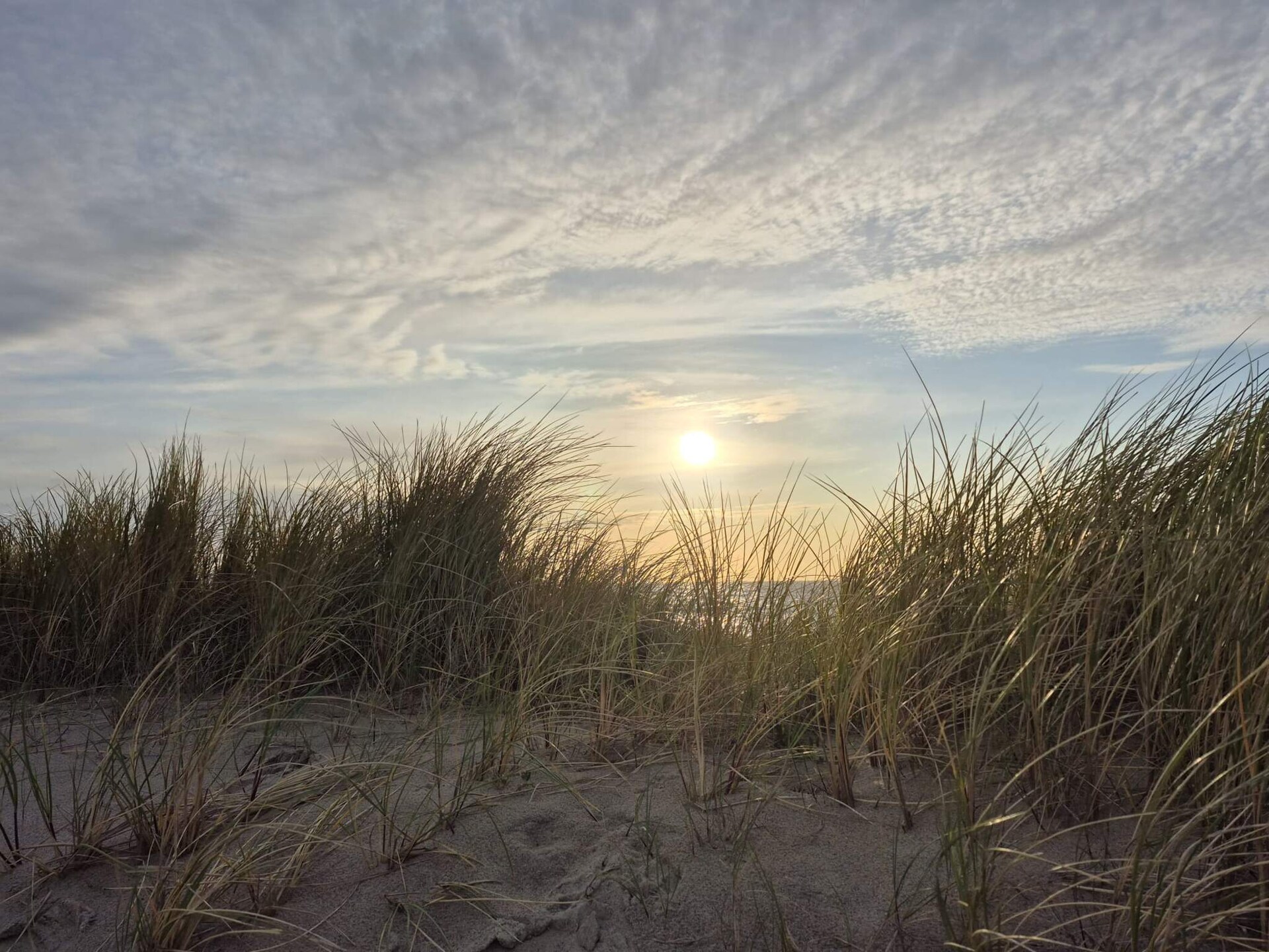 7-persoons vakantiehuis in Thisted op 950 m van zee - foto 17