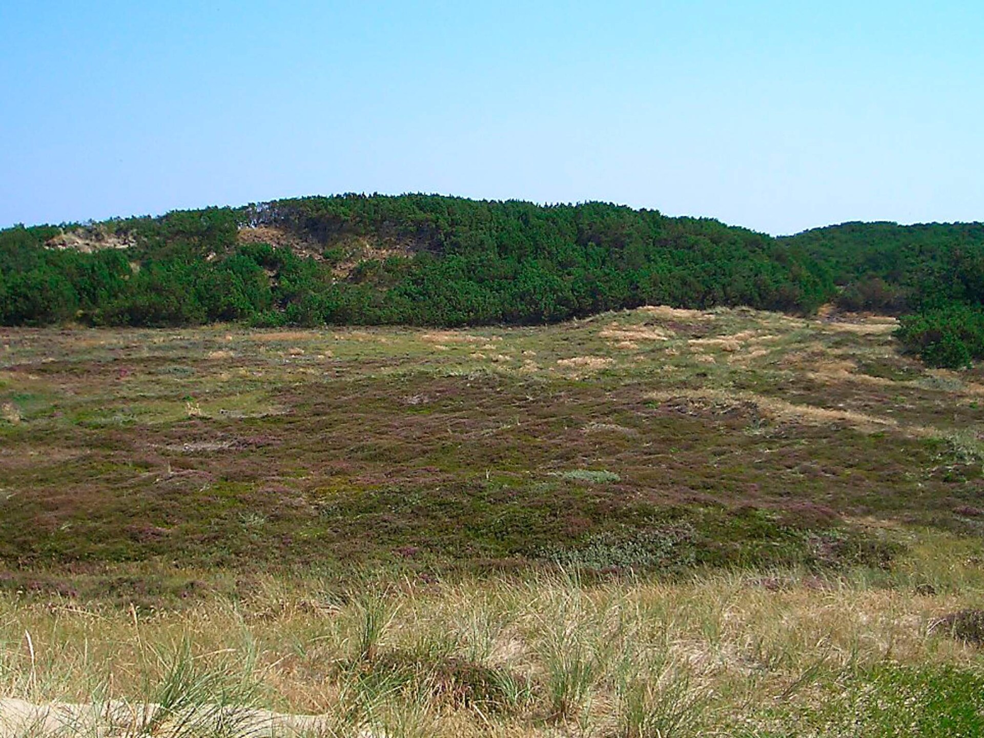 7-persoons vakantiehuis in Thisted op 950 m van zee - foto 63