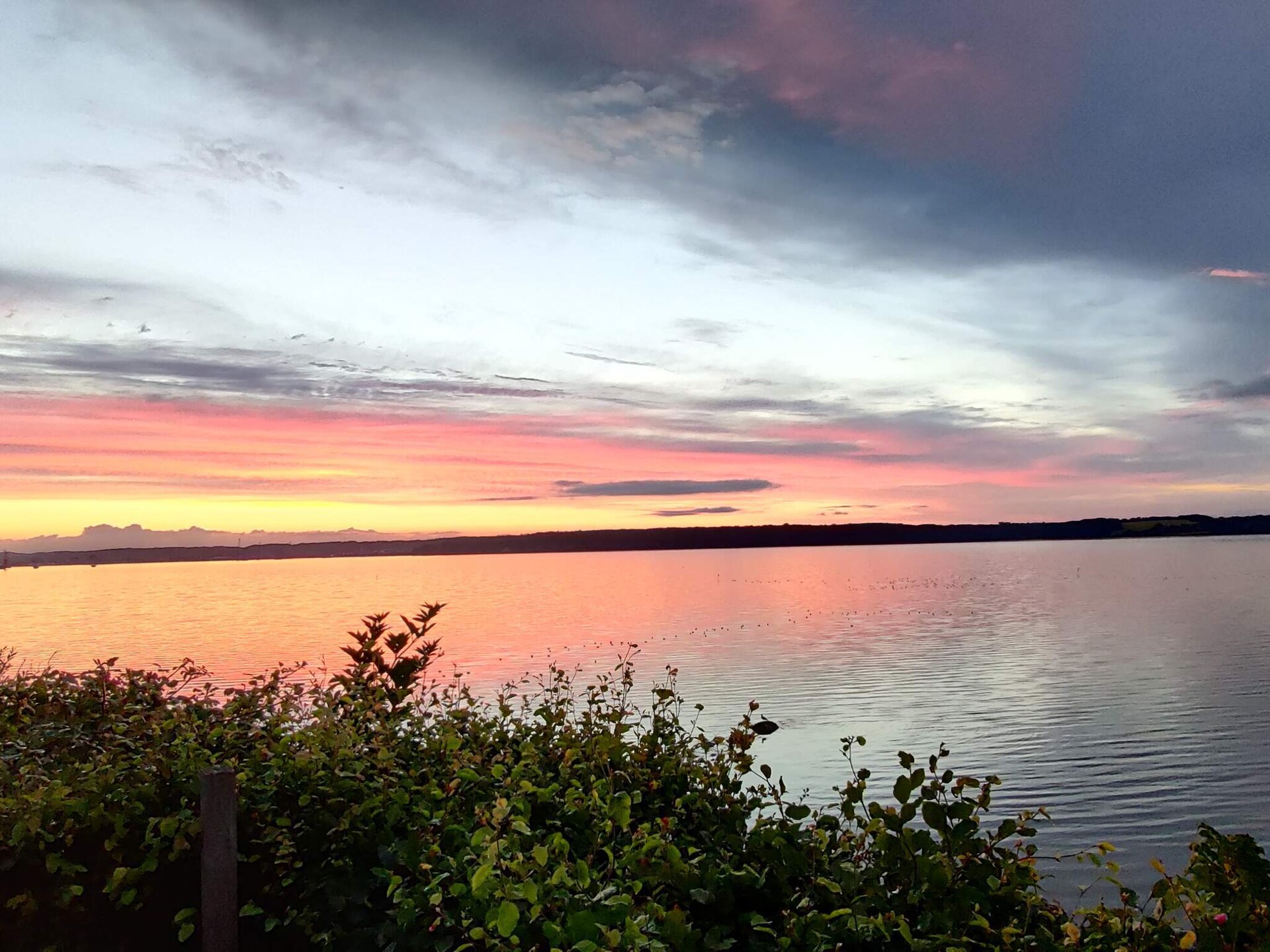 Allergievriendelijk vakantiehuis direct aan de Aabenraa Fjord met privéstrand - foto 17