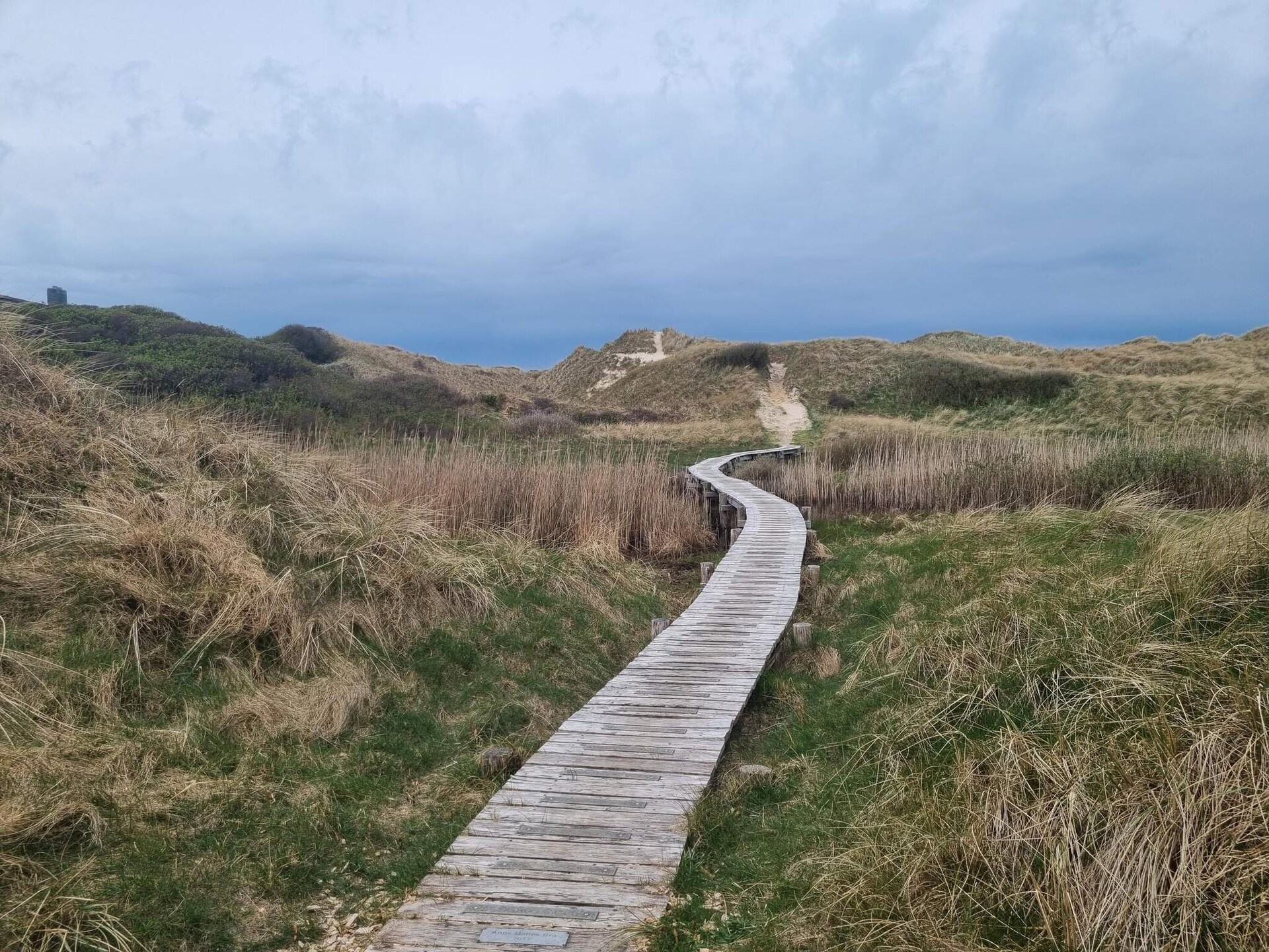 Licht vakantiehuis in Blokhus grenzend aan natuurgebied - foto 2