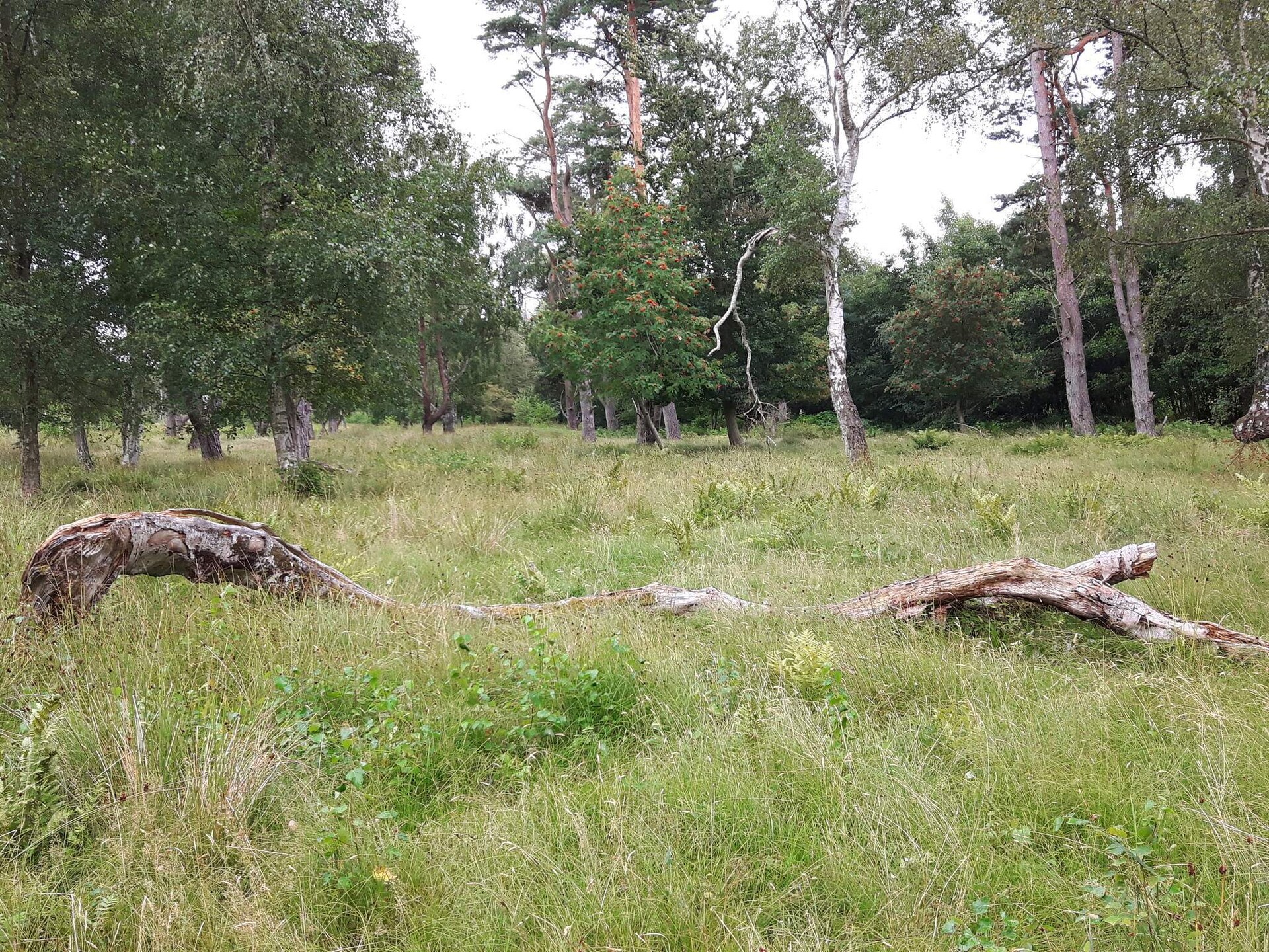 8-persoons vakantiehuis in Væggerløse op 800 m van zee - foto 12