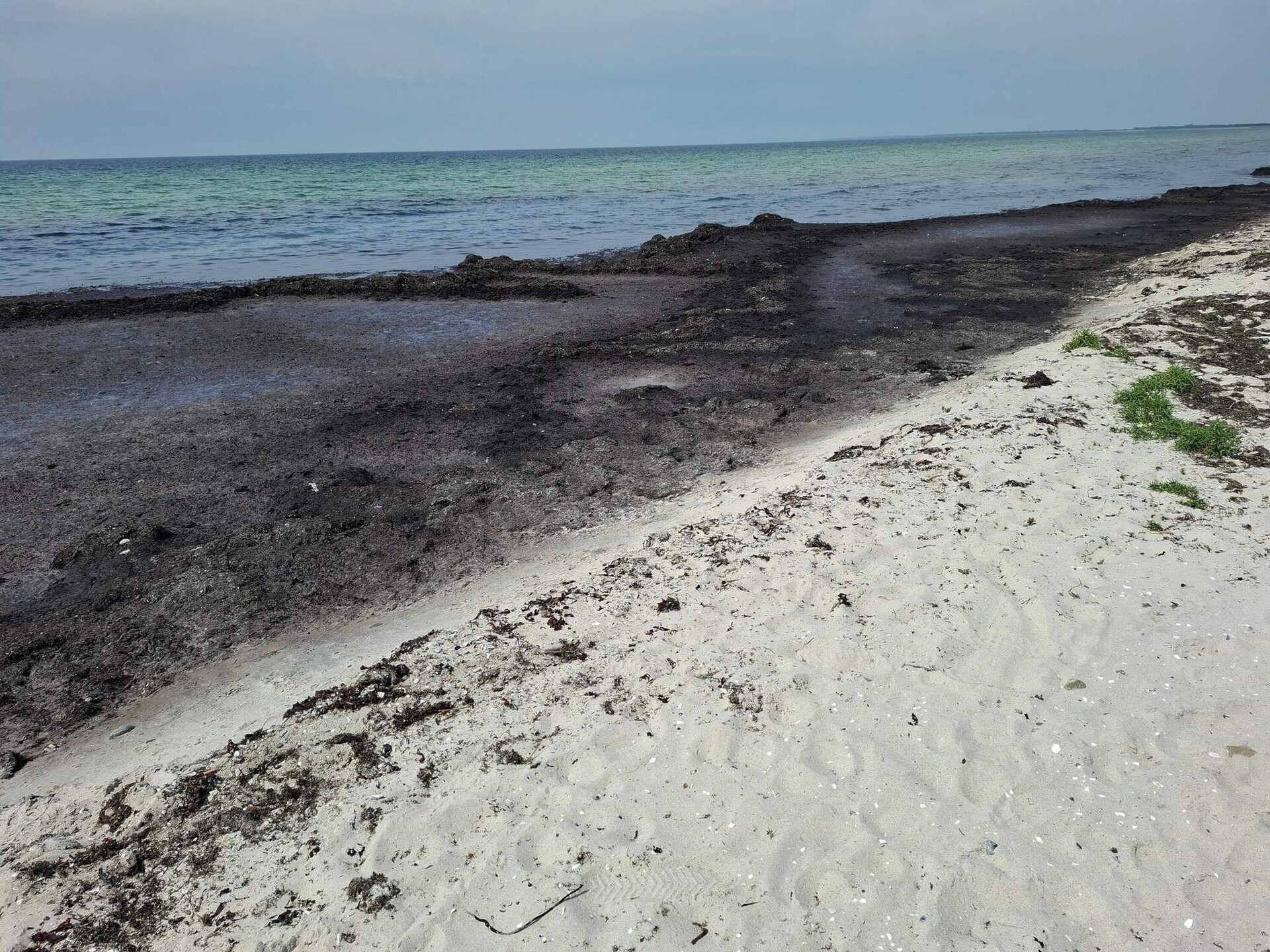 8-persoons vakantiehuis in Rødby op 600 m van zee - foto 12