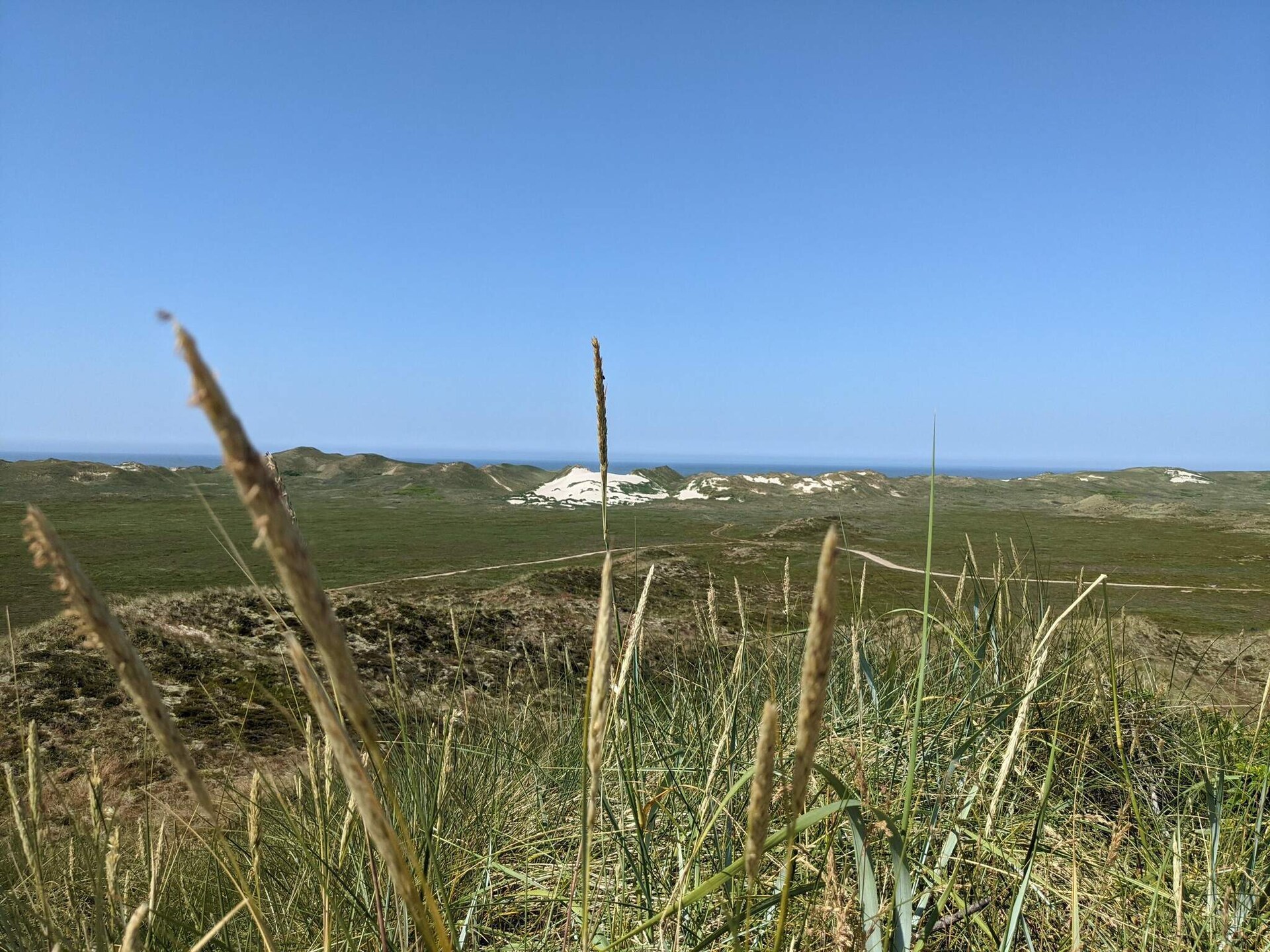 Sfeervol vrijstaand vakantiehuis op 200 meter van de zee bij Hvide Sande - foto 8